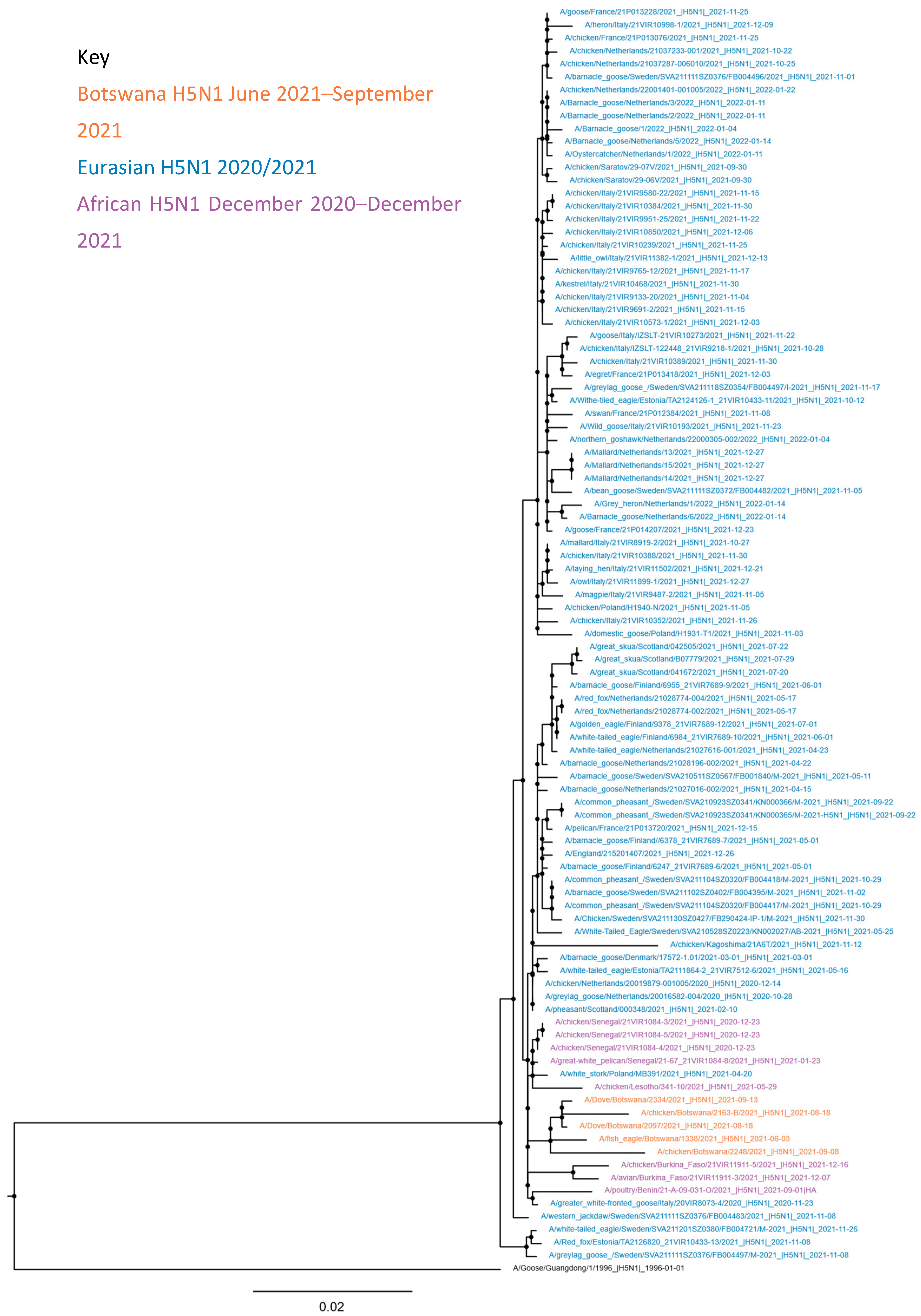 Viruses 14 02601 g003 Viruses 14 02601 g003