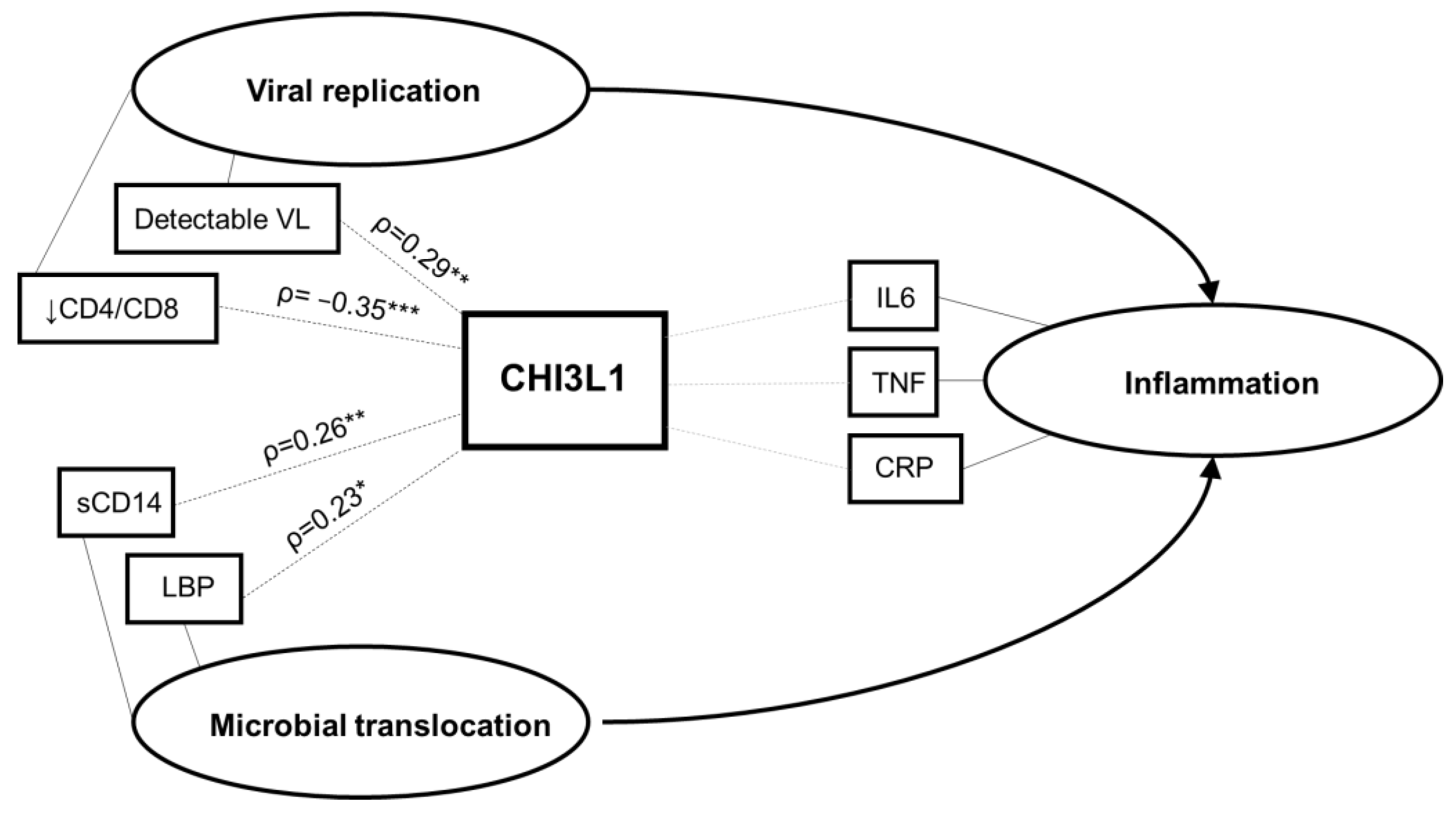 Viruses 14 02602 g004
