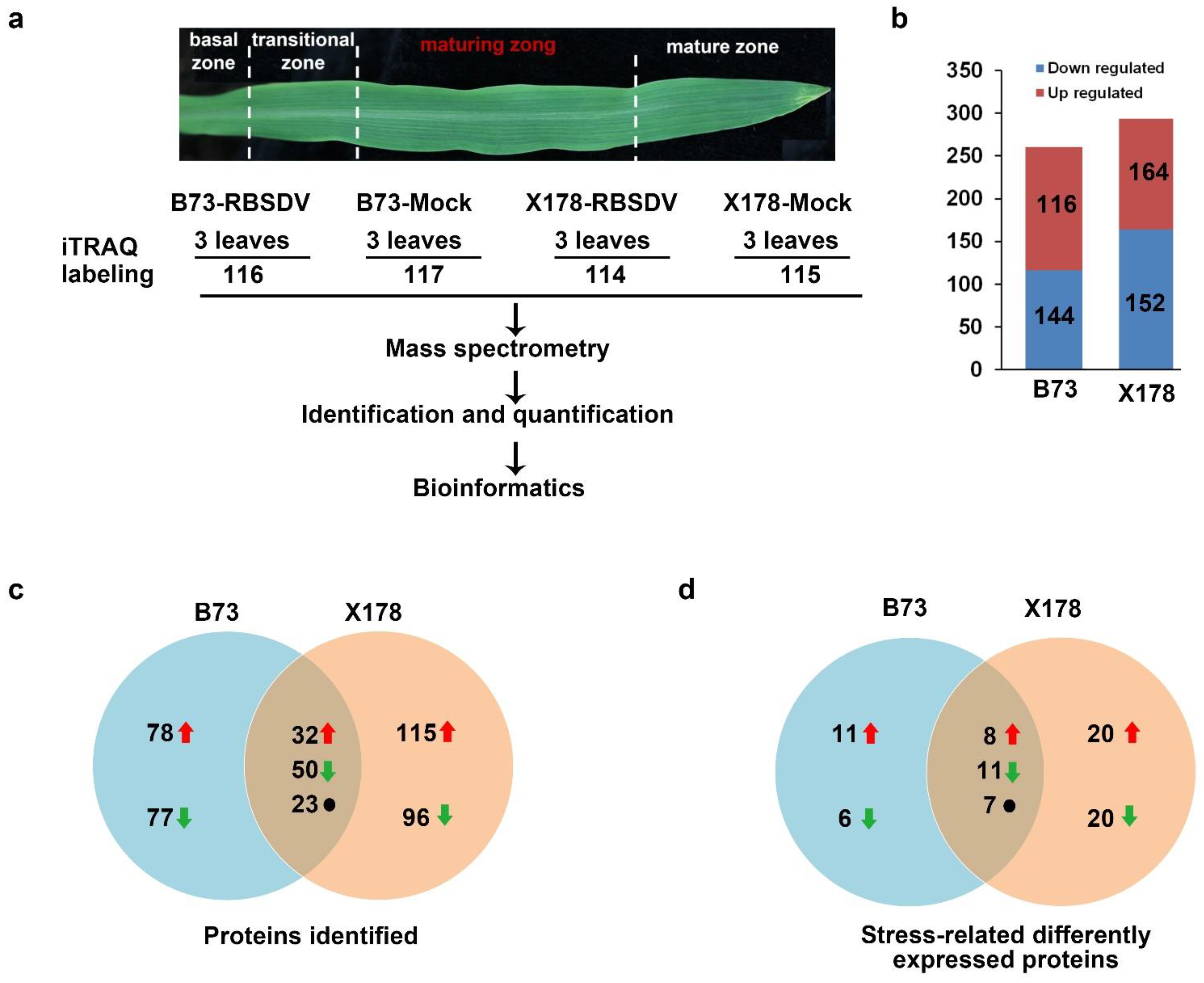 Viruses 14 02604 g003 Viruses 14 02604 g003