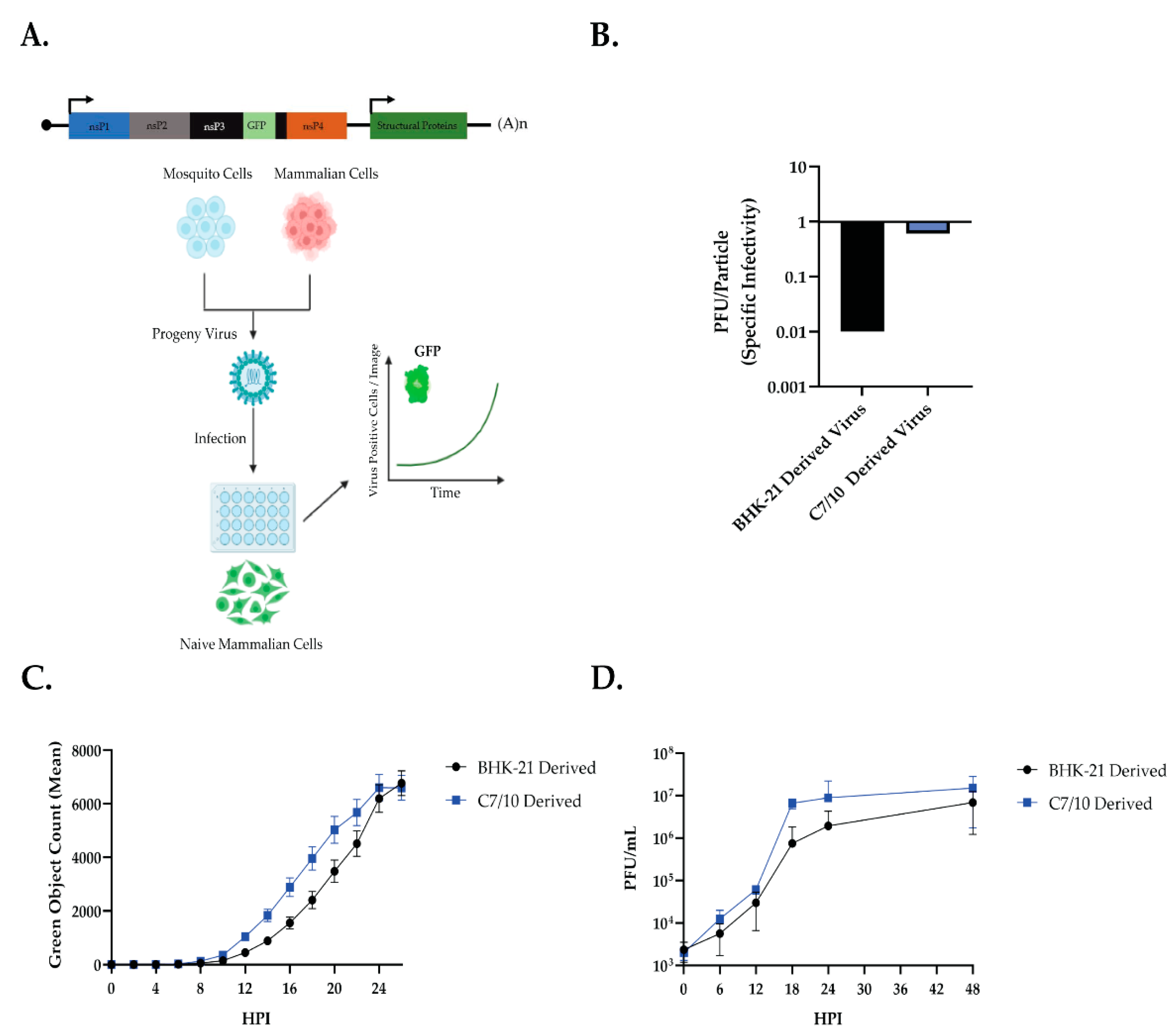 Viruses 14 02606 g001