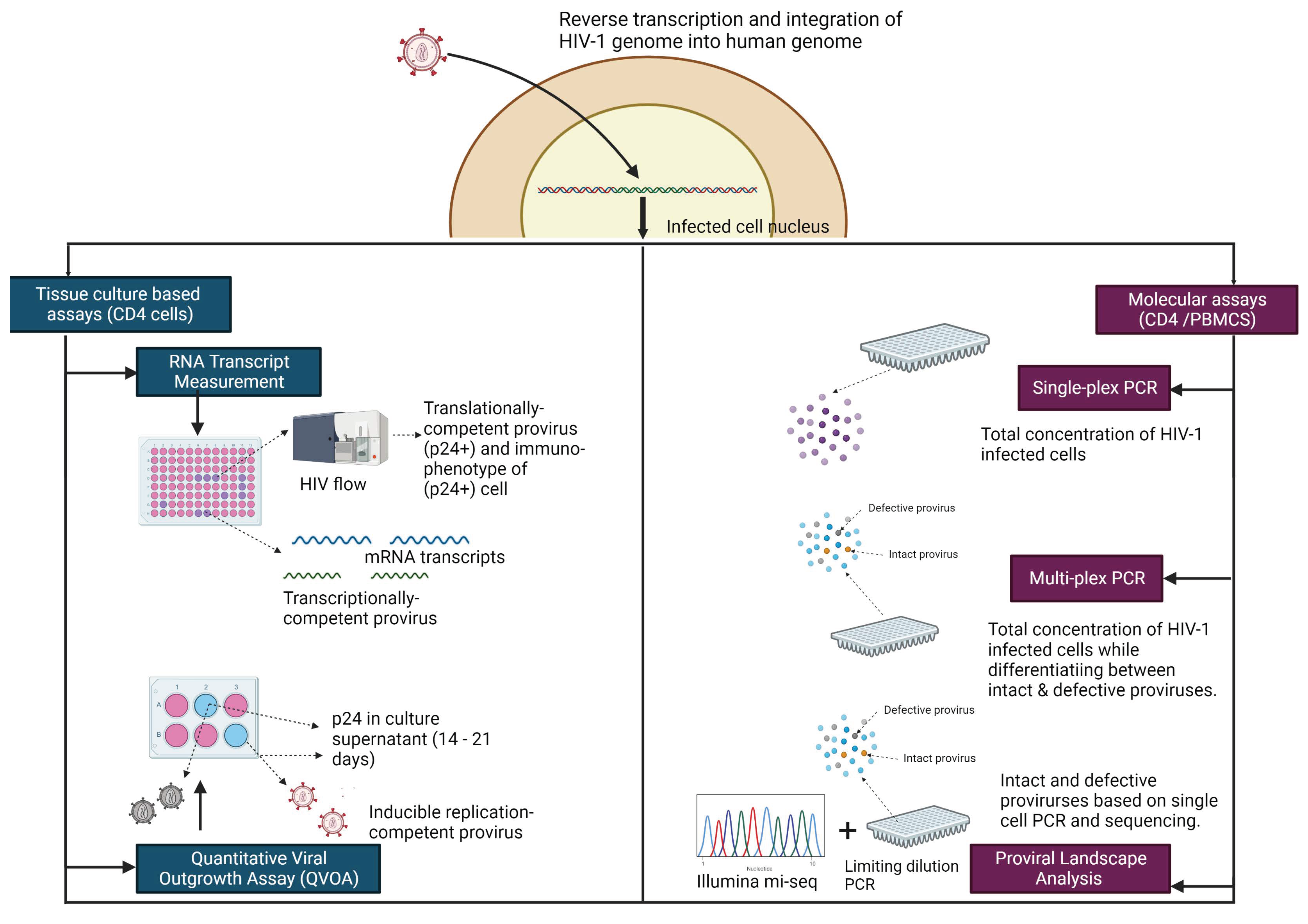 Viruses 14 02608 g002
