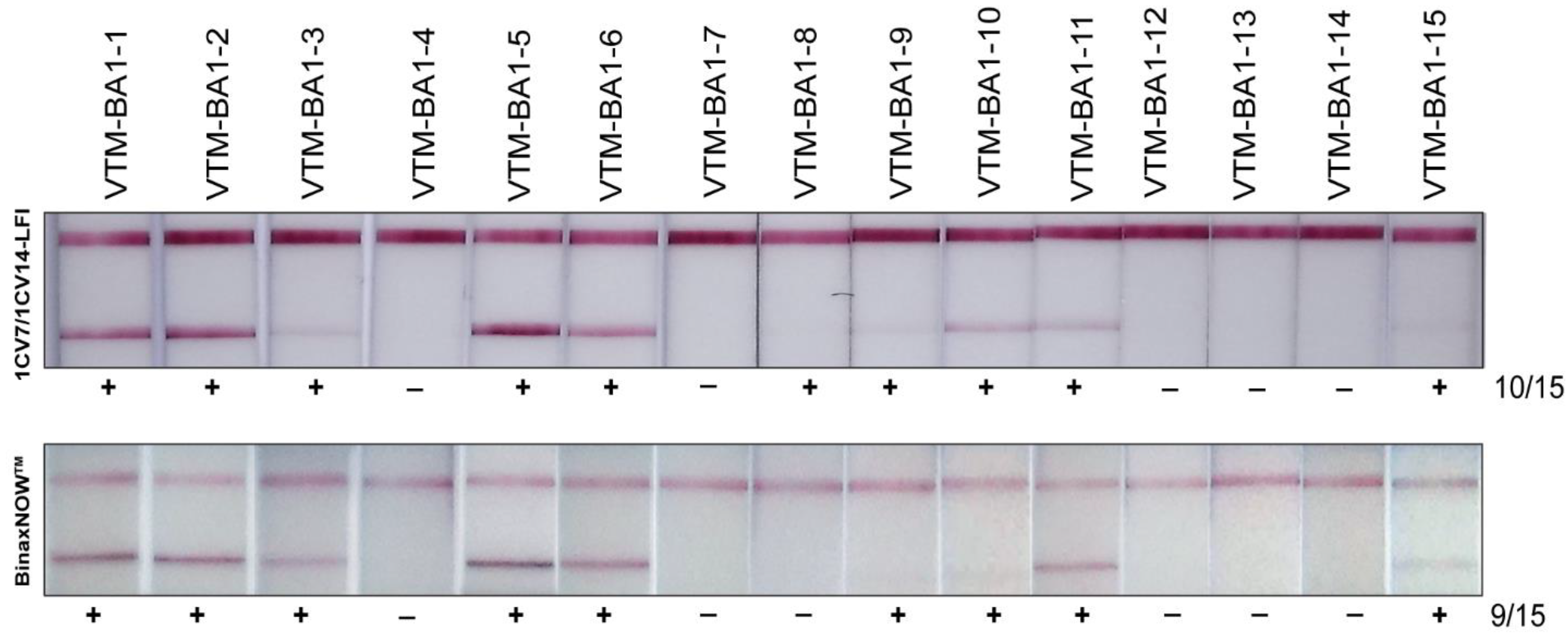 Viruses 14 02609 g003