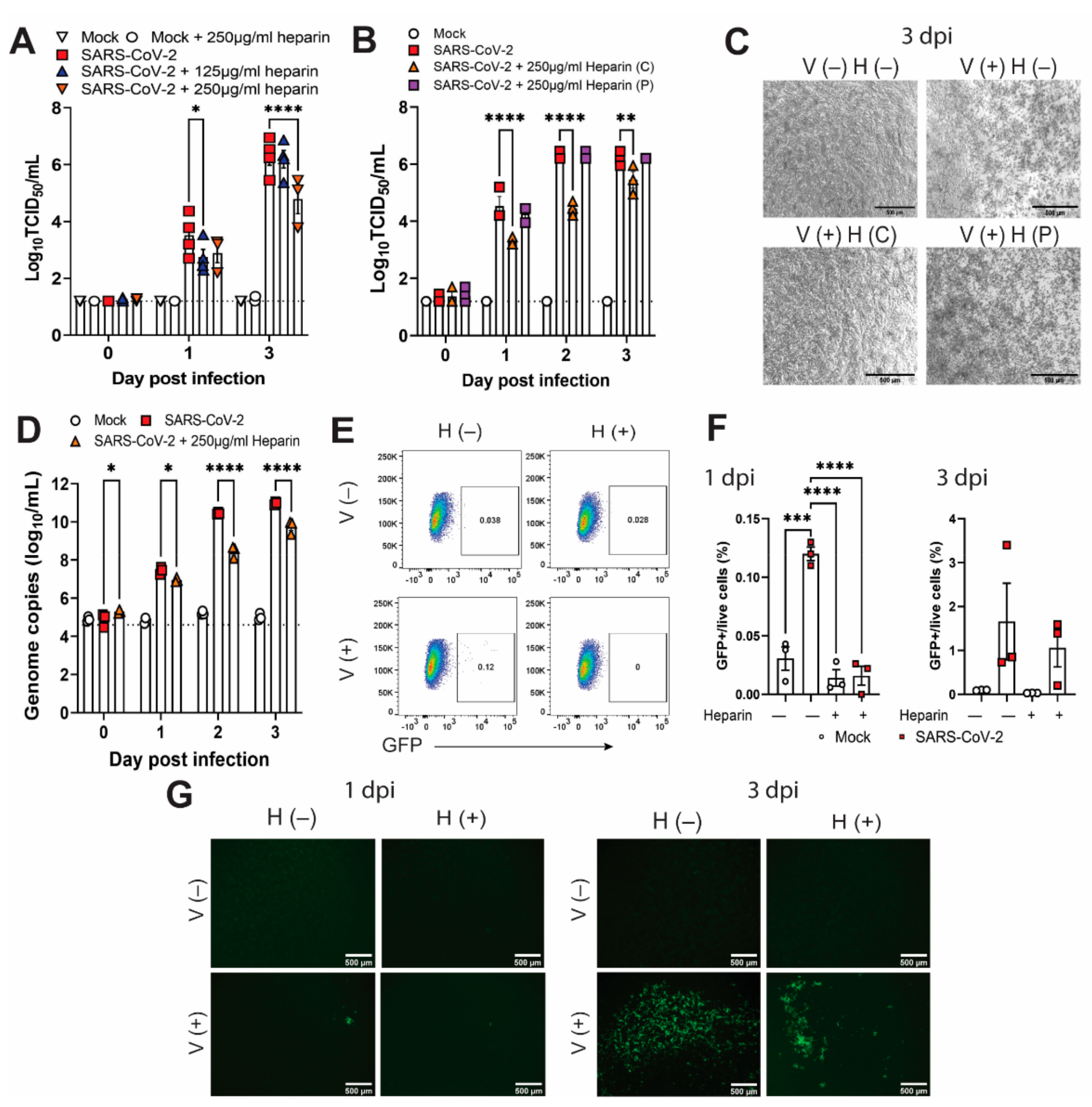Viruses 14 02620 g002