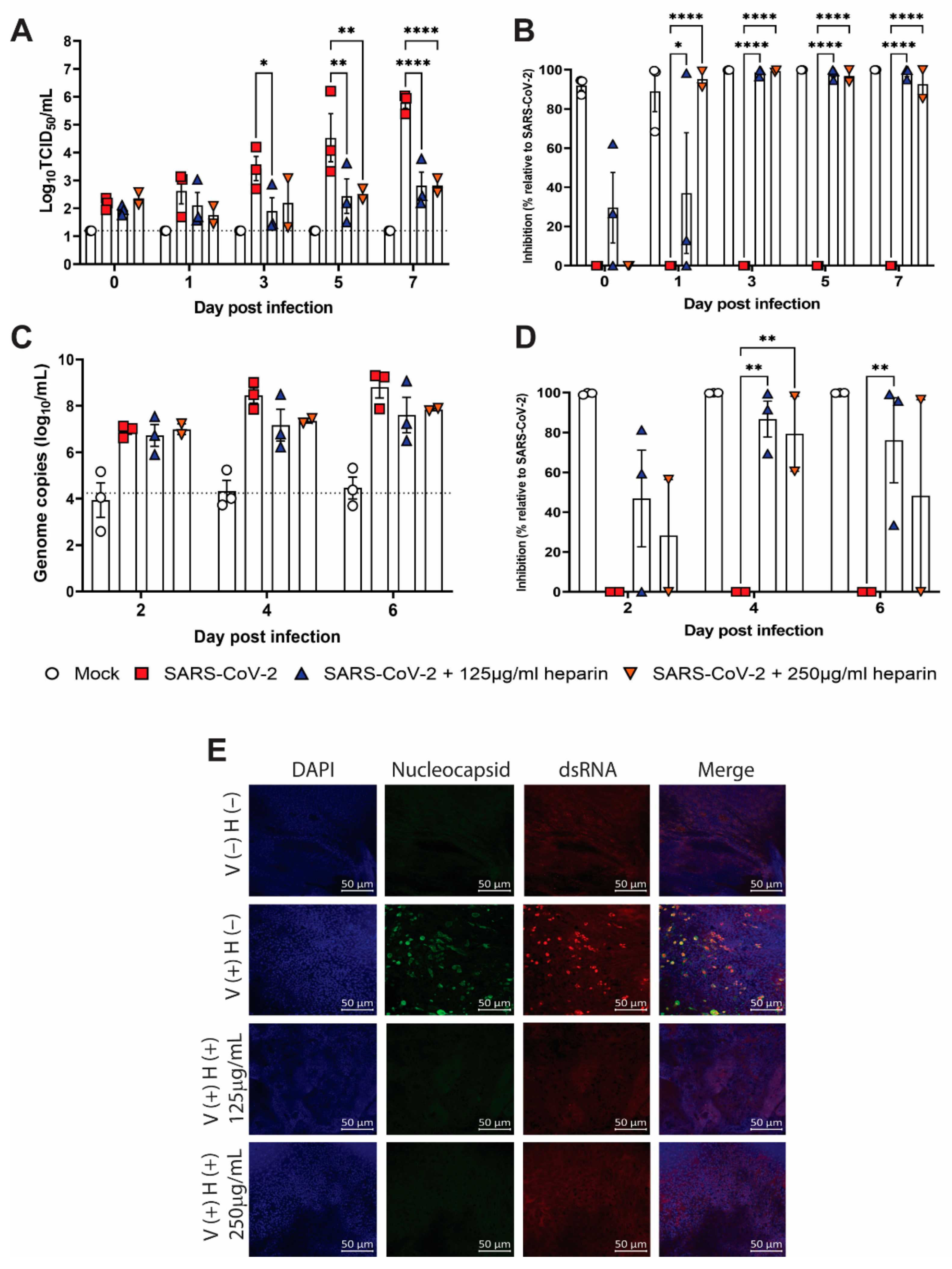 Viruses 14 02620 g003