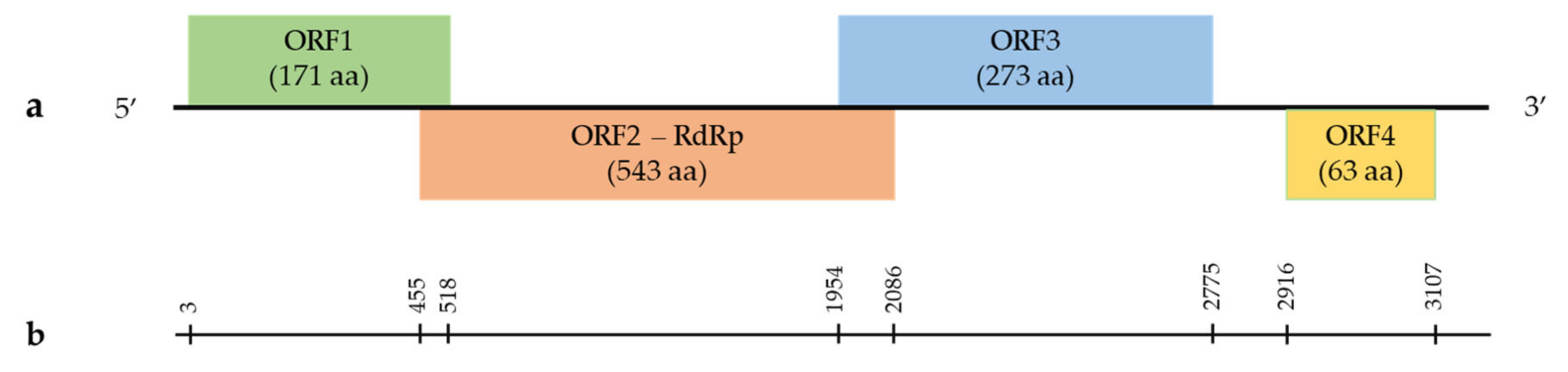 Viruses 14 02623 g001