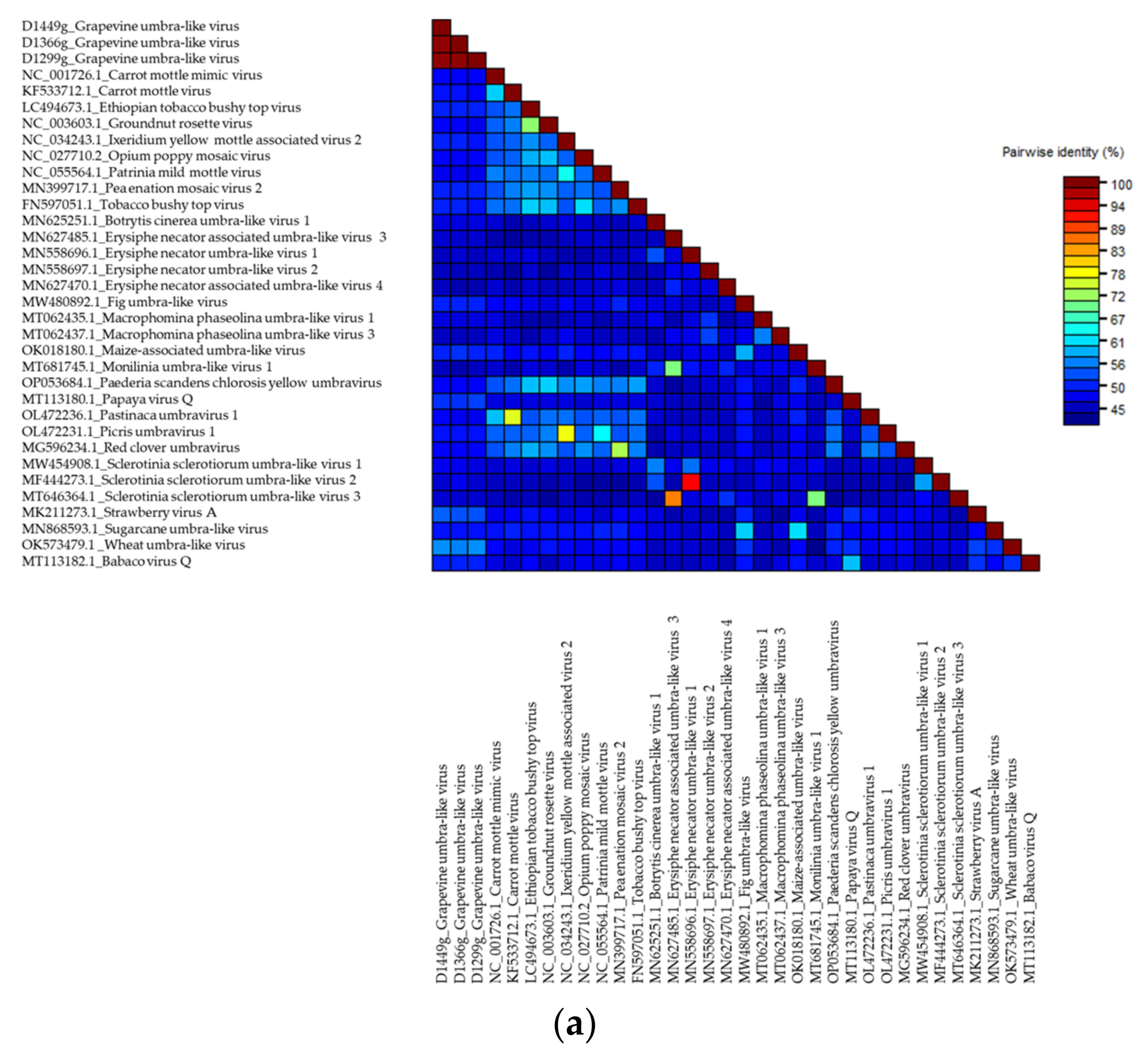 Viruses 14 02623 g002a