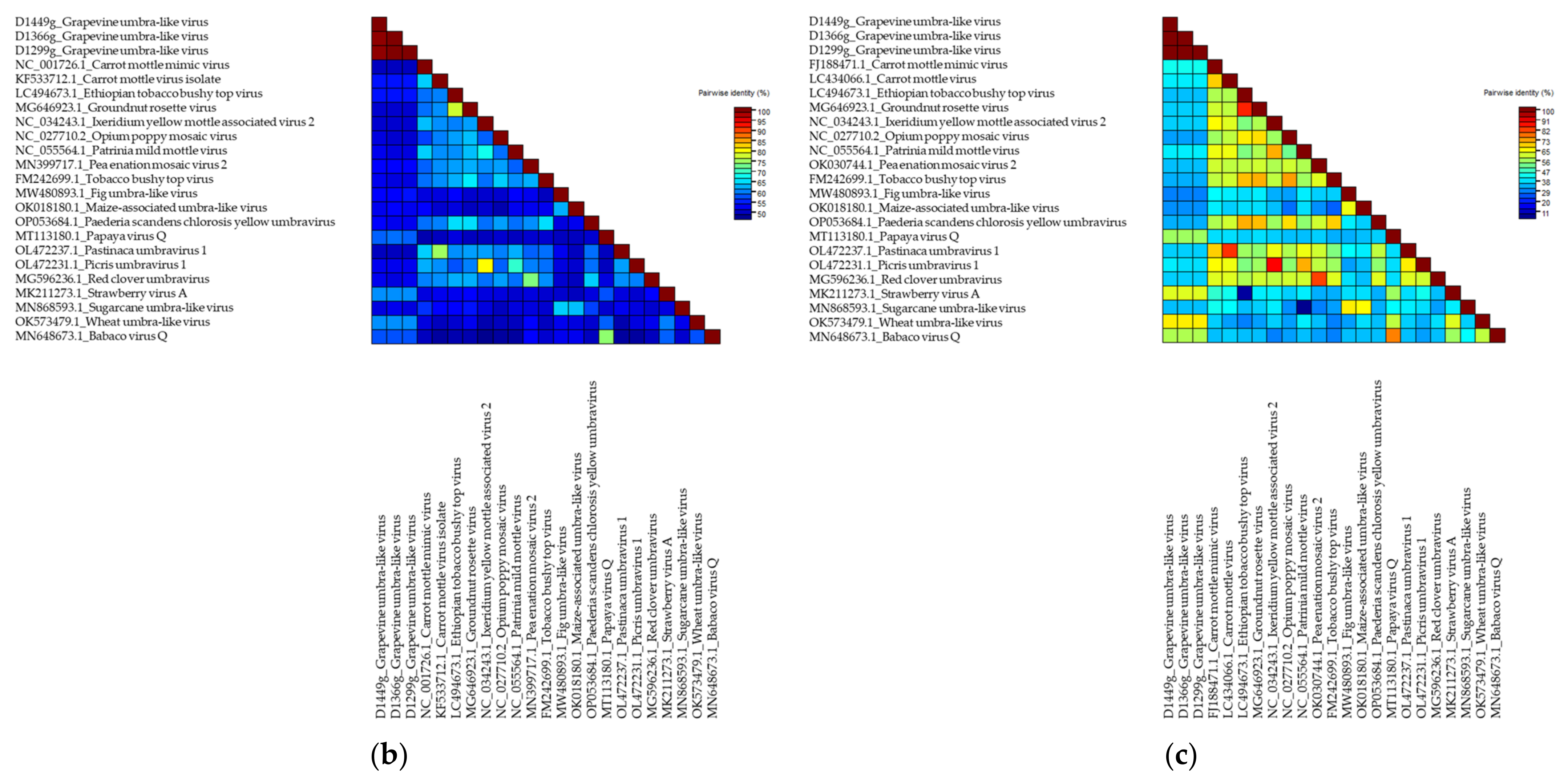 Viruses 14 02623 g002b