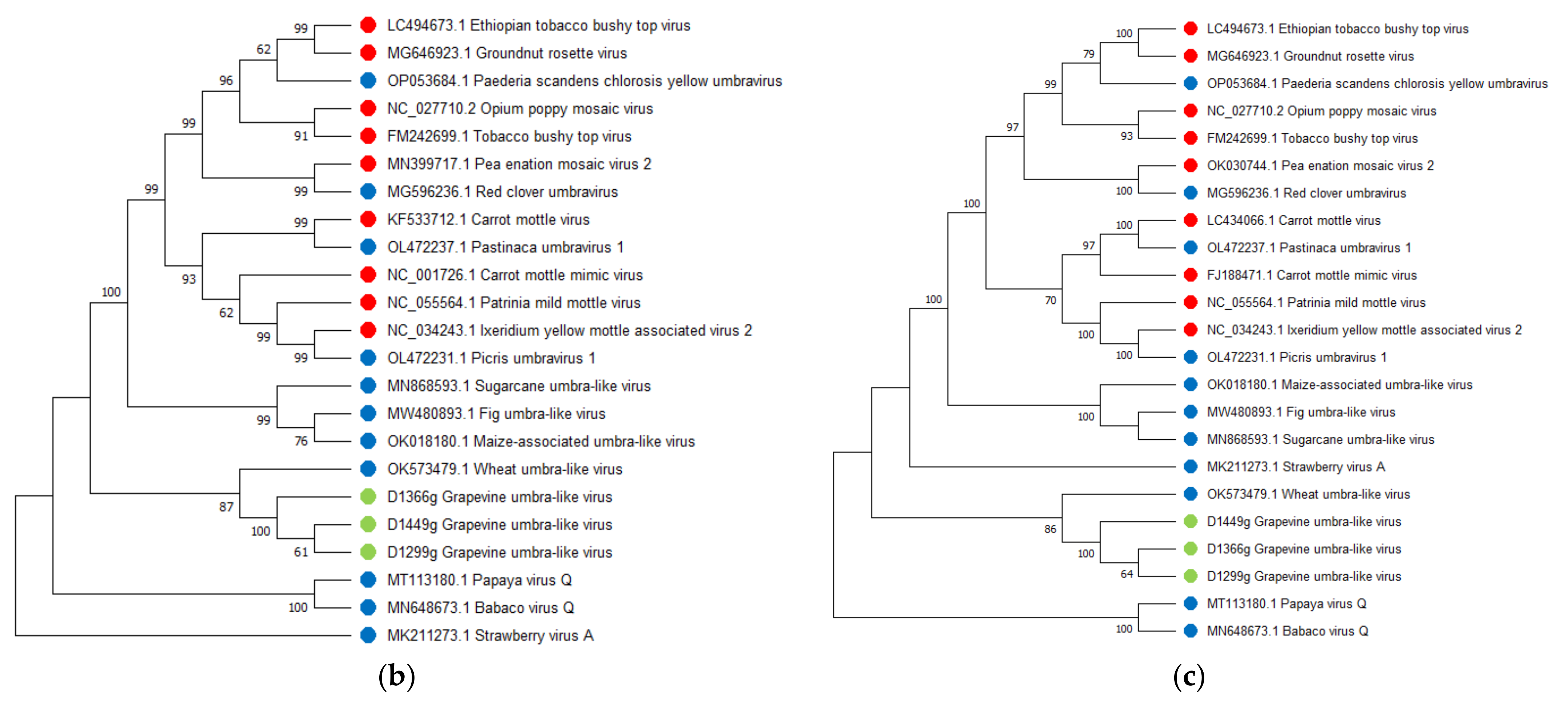 Viruses 14 02623 g003b