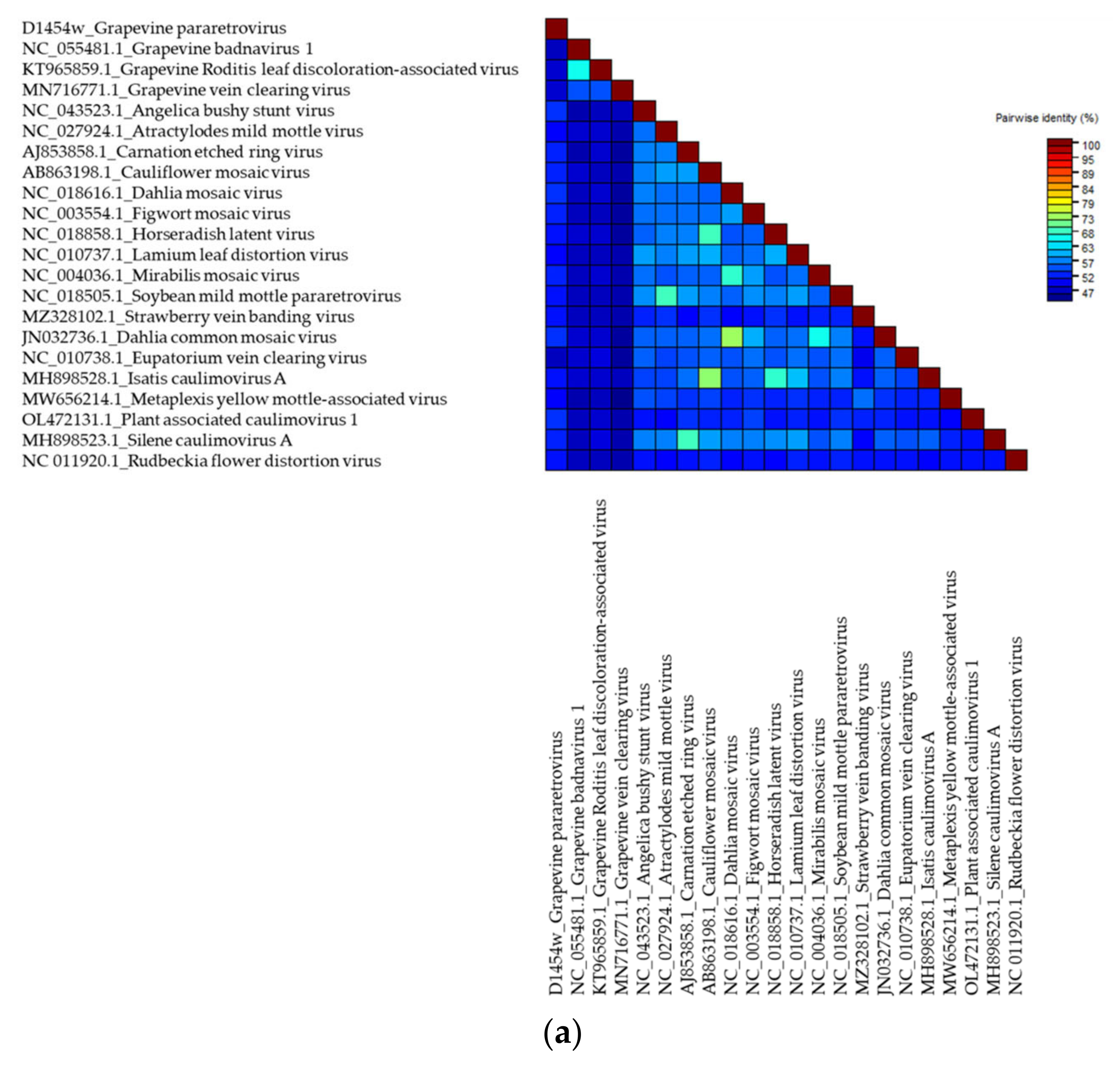 Viruses 14 02623 g006a