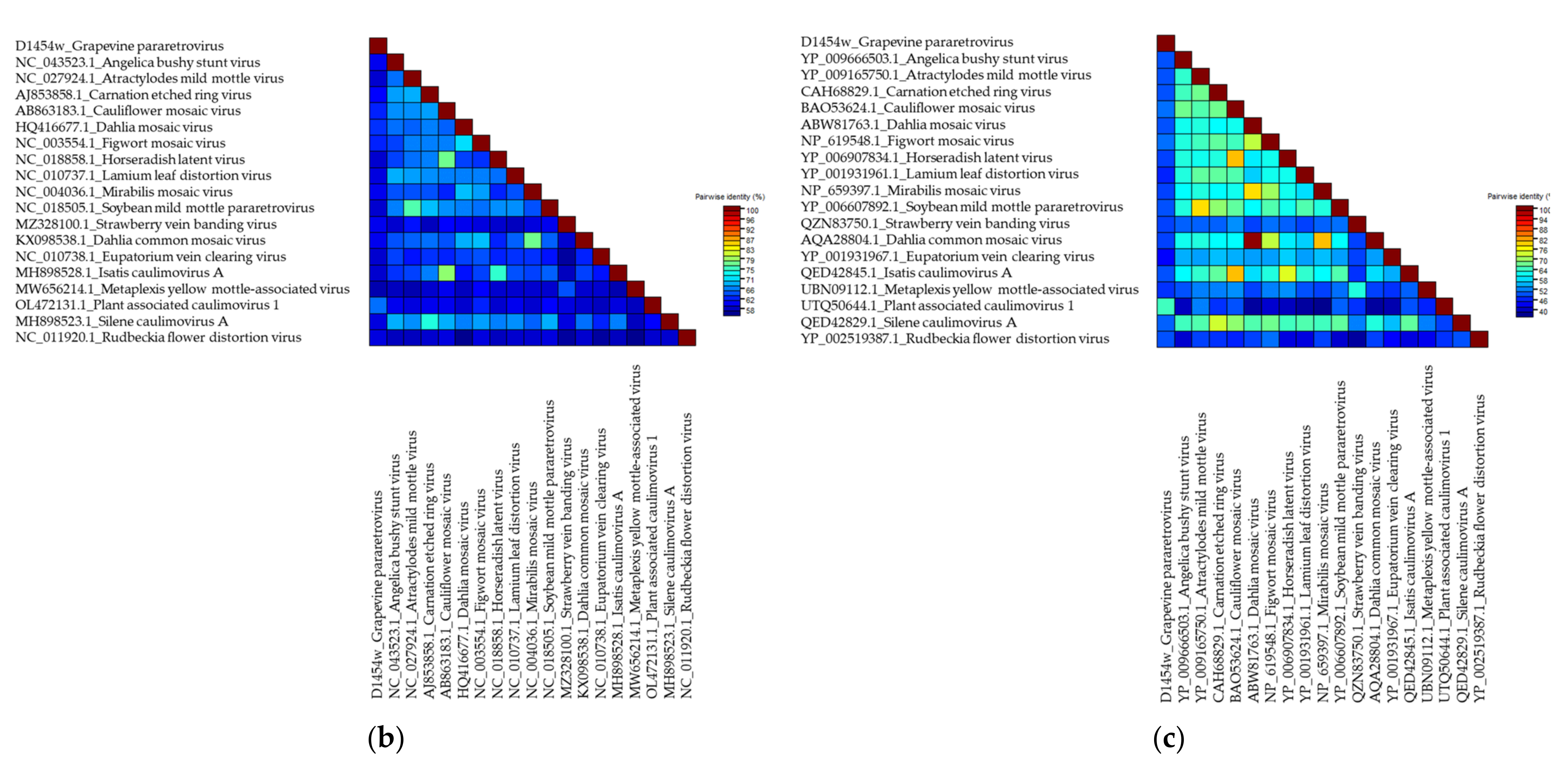 Viruses 14 02623 g006b