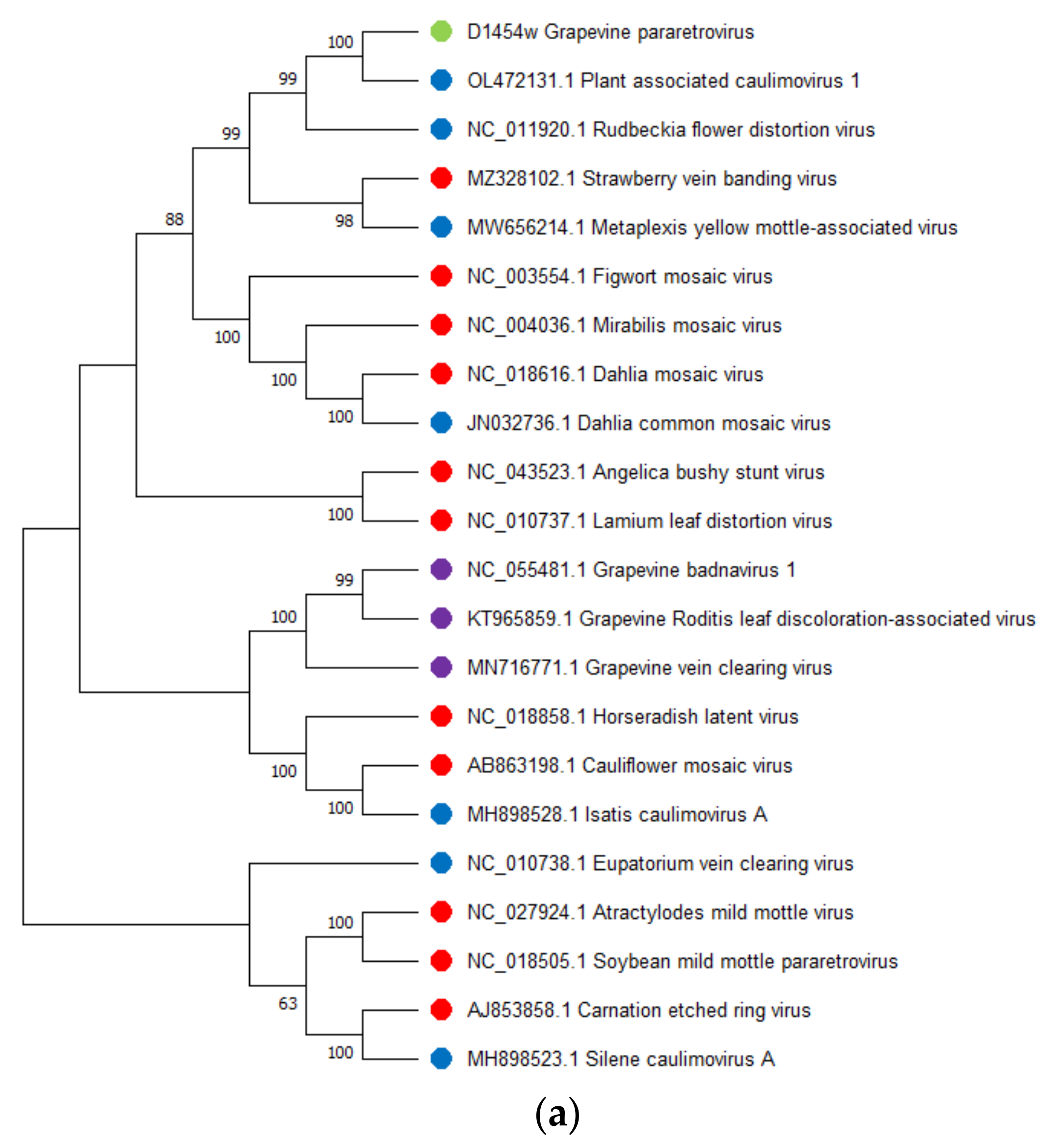 Viruses 14 02623 g007a