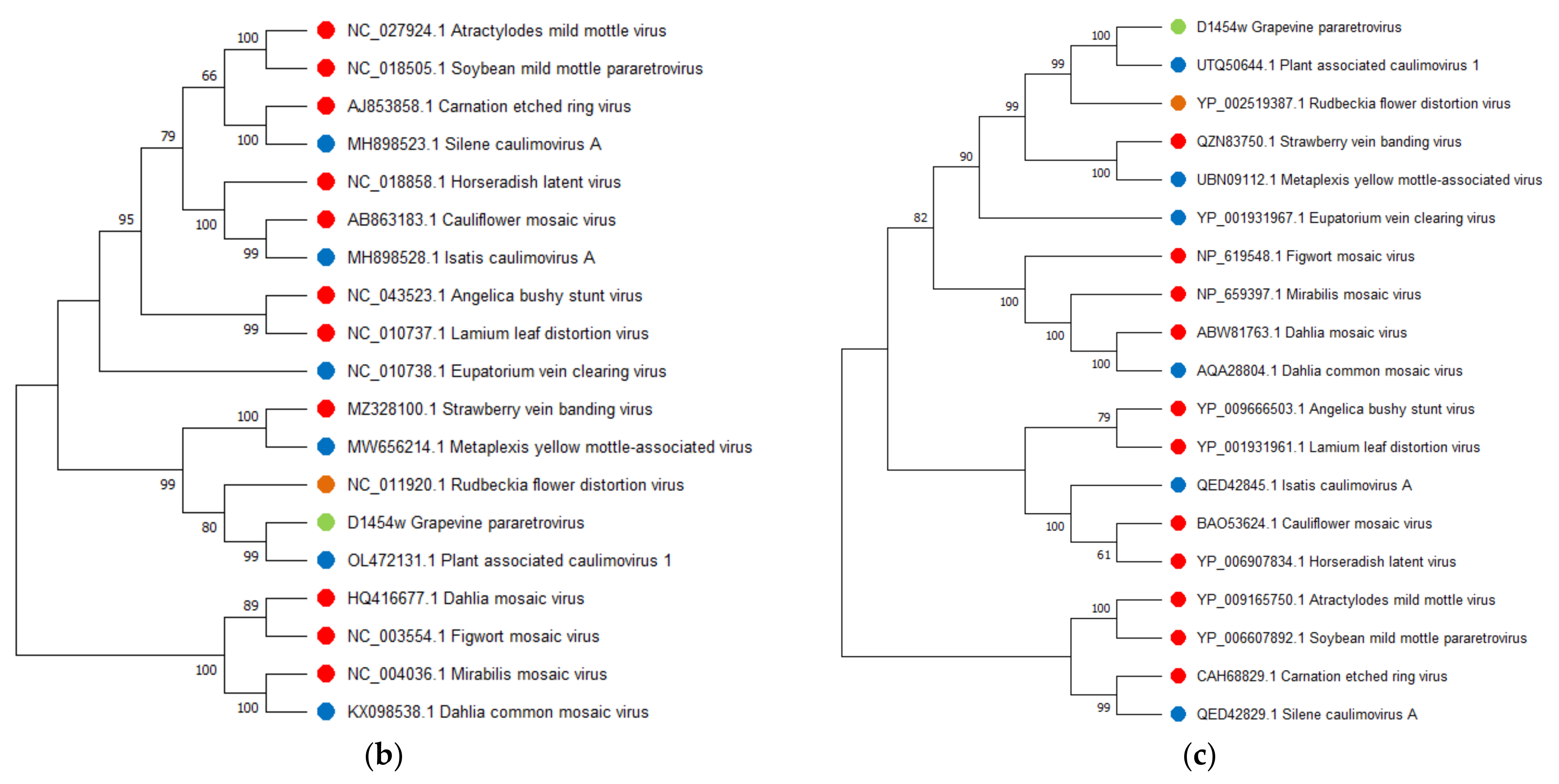 Viruses 14 02623 g007b