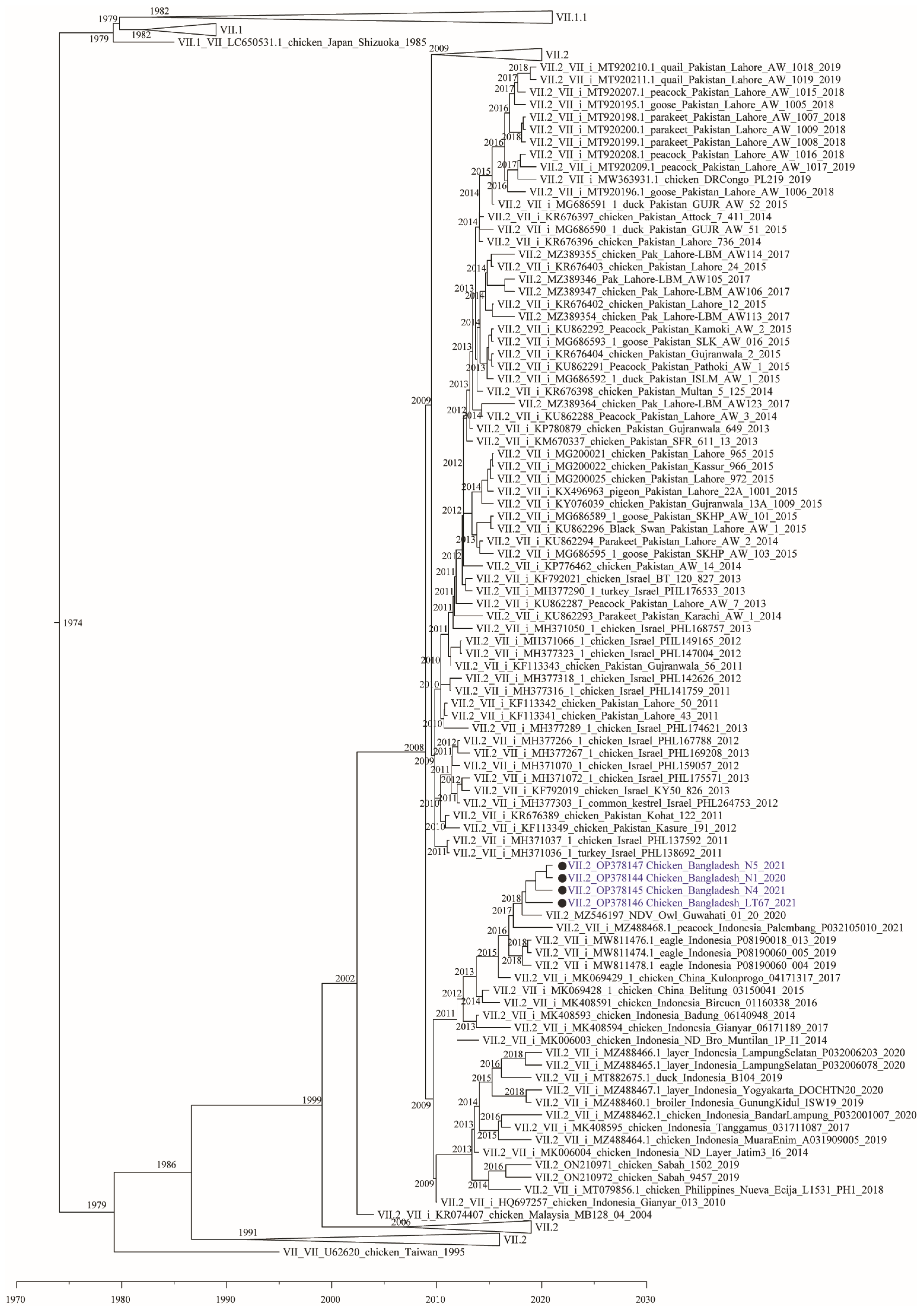Viruses 14 02627 g002 Viruses 14 02627 g002