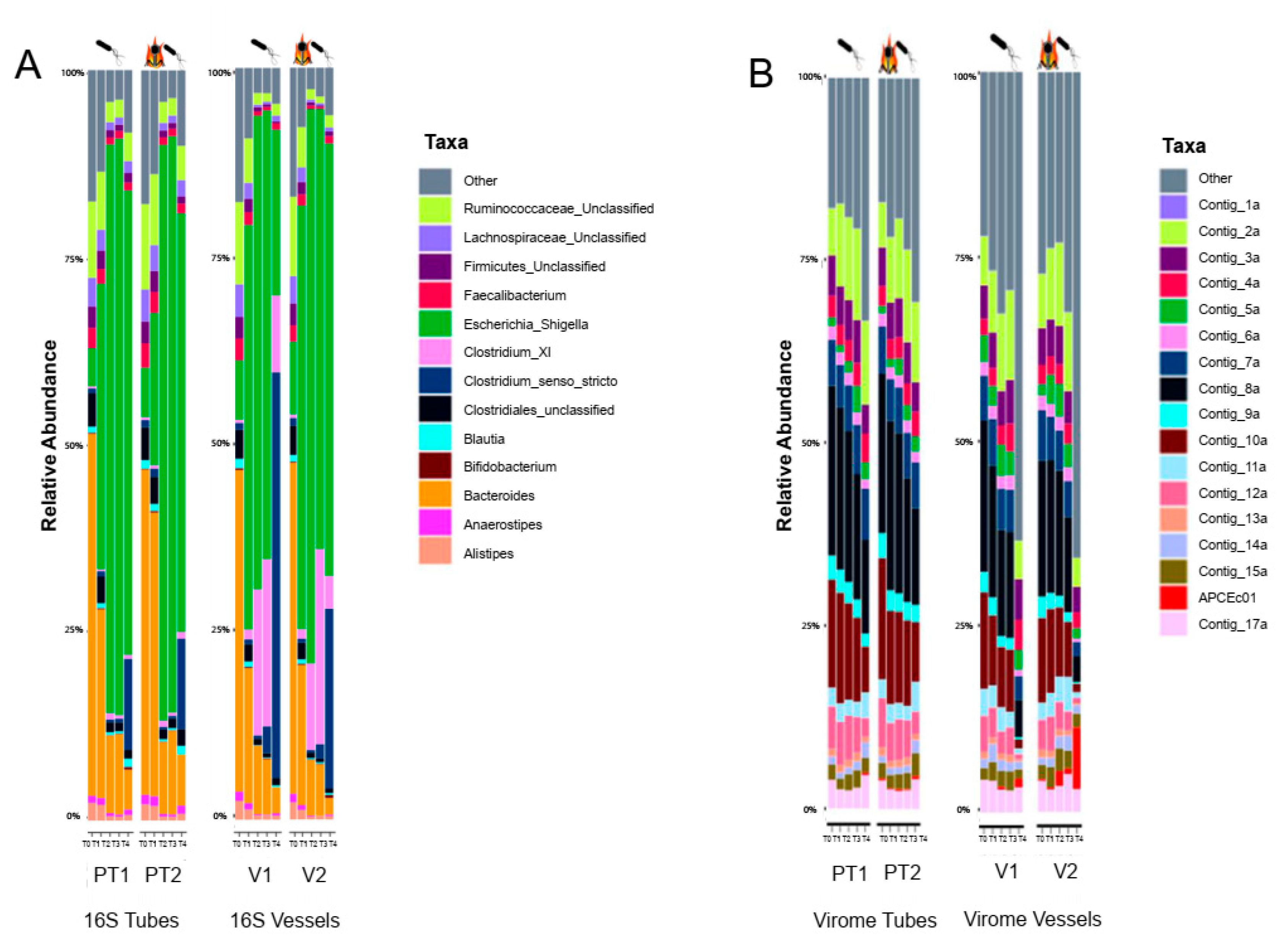 Viruses 14 02632 g002