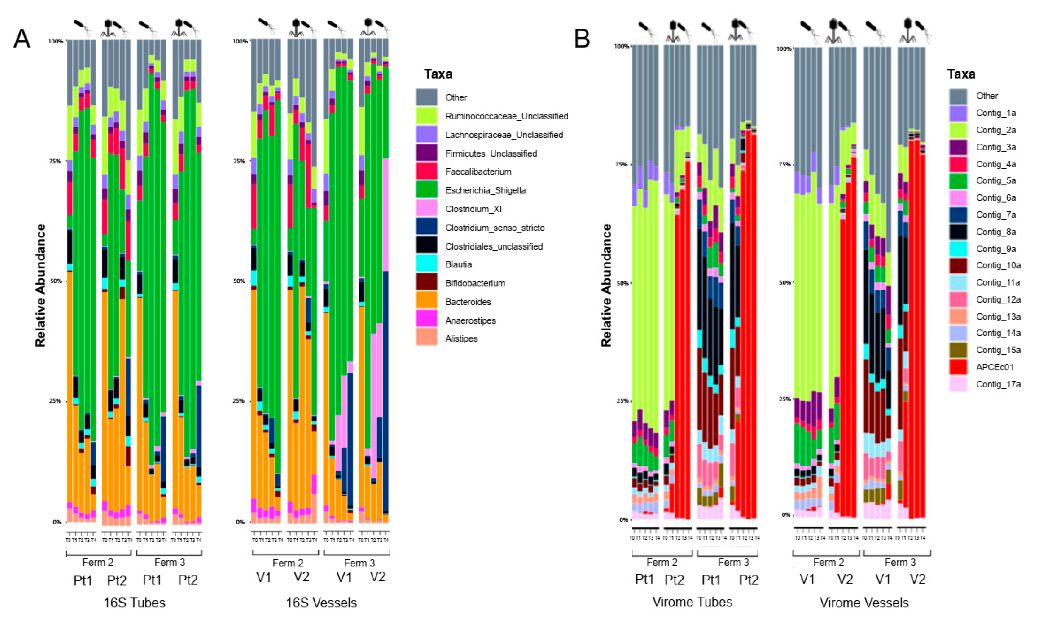 Viruses 14 02632 g003