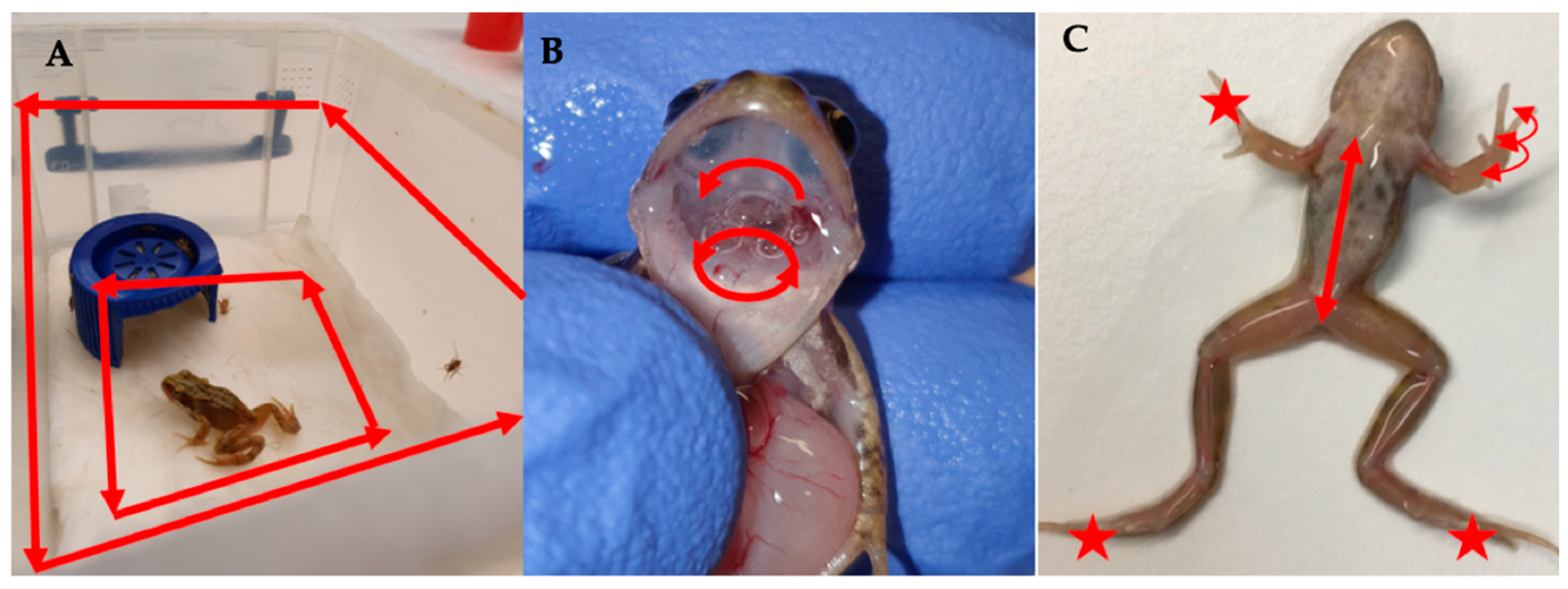 Viruses 14 02635 g002 Viruses 14 02635 g002