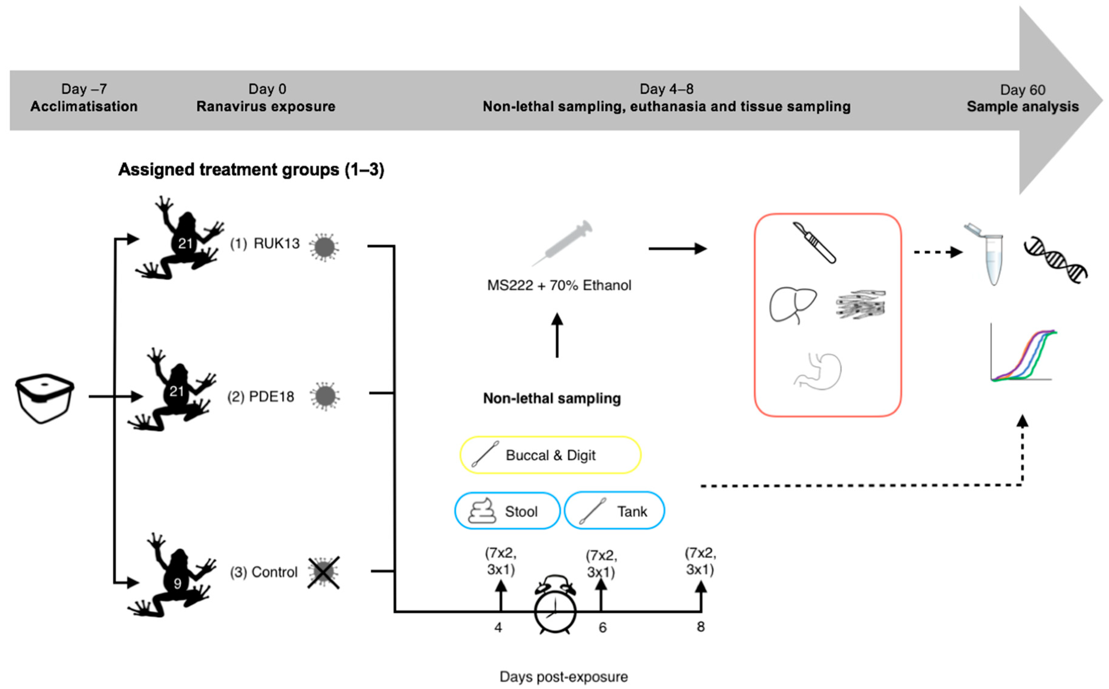Viruses 14 02635 g003 Viruses 14 02635 g003