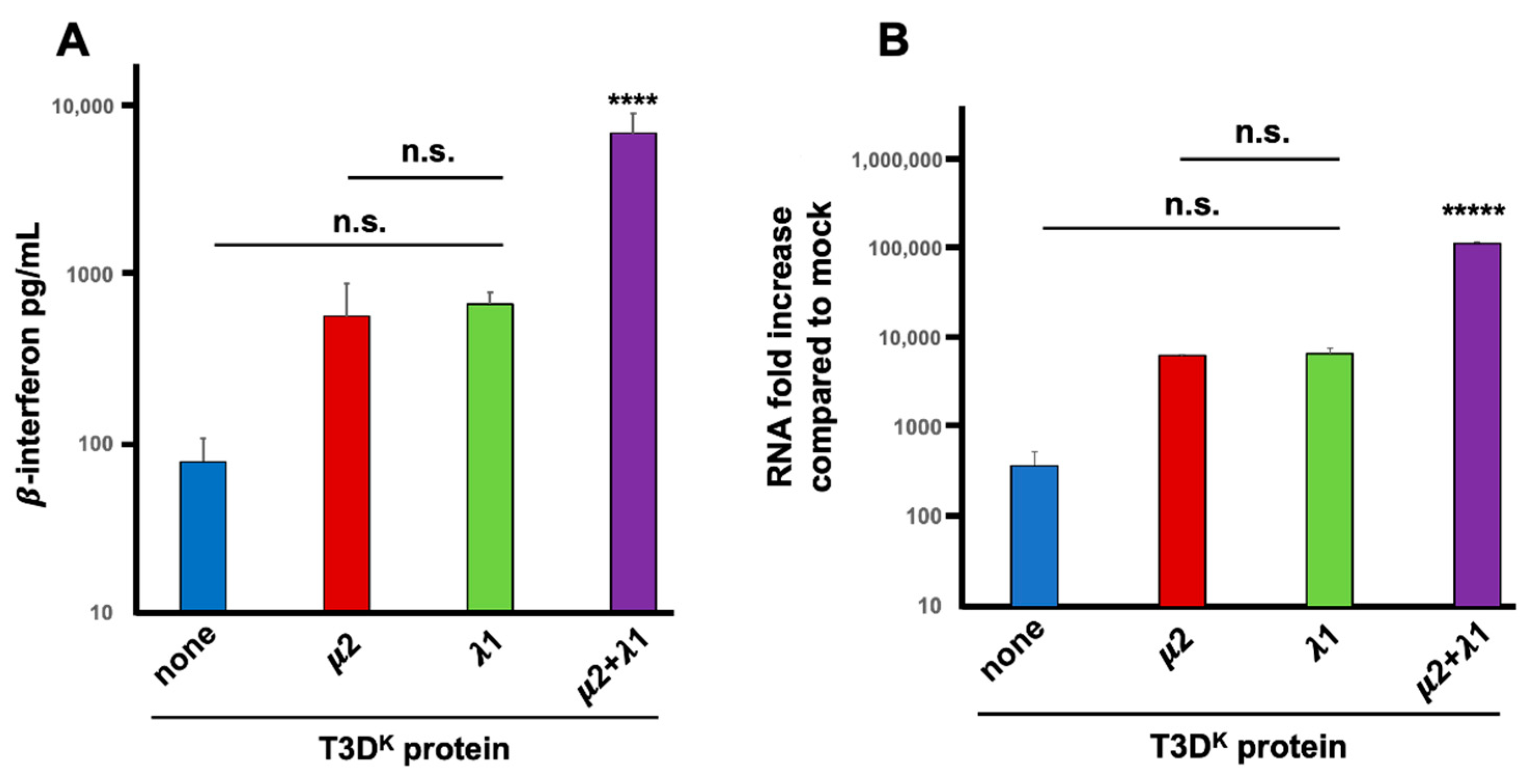 Viruses 14 02638 g001