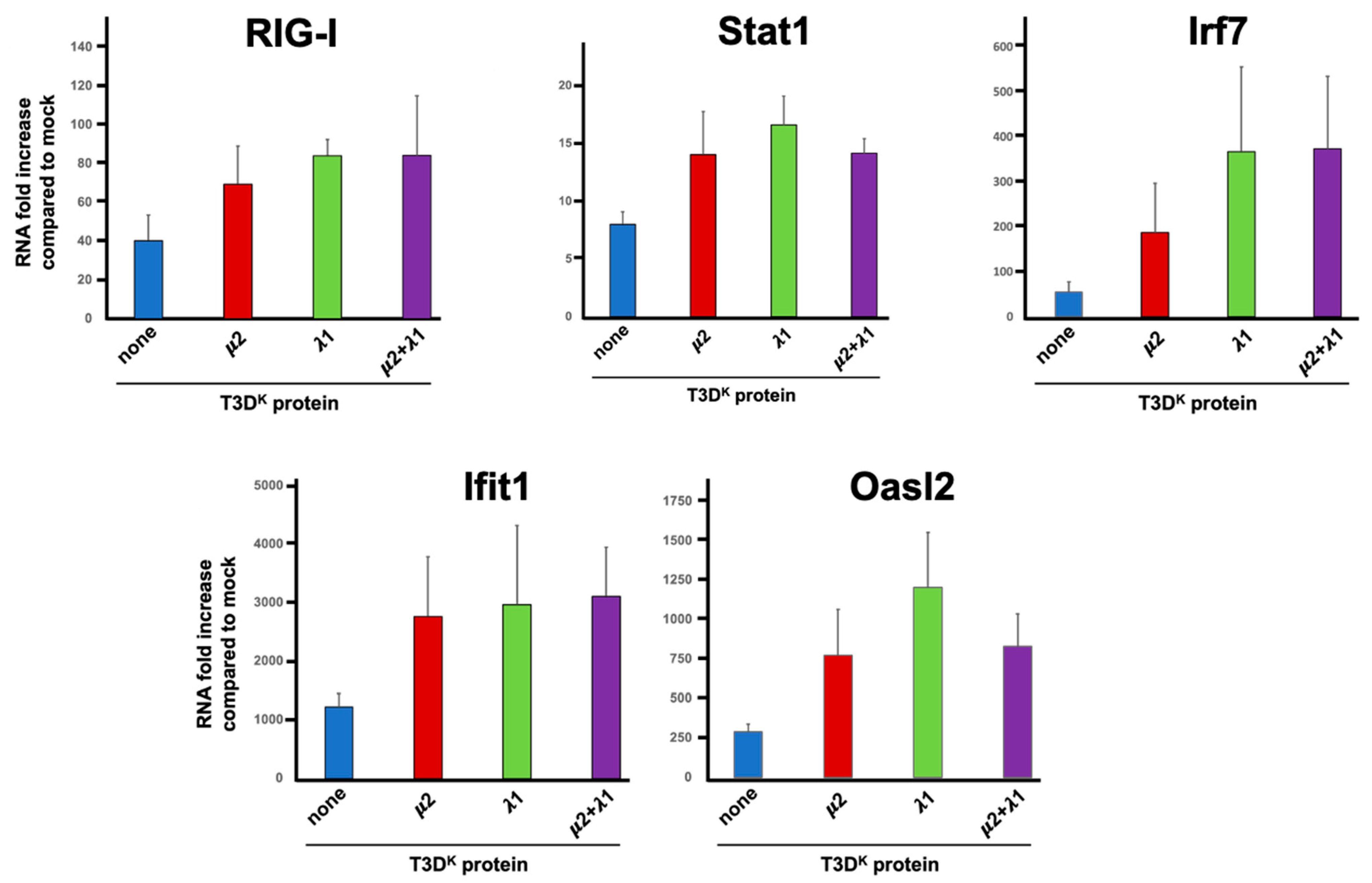 Viruses 14 02638 g006