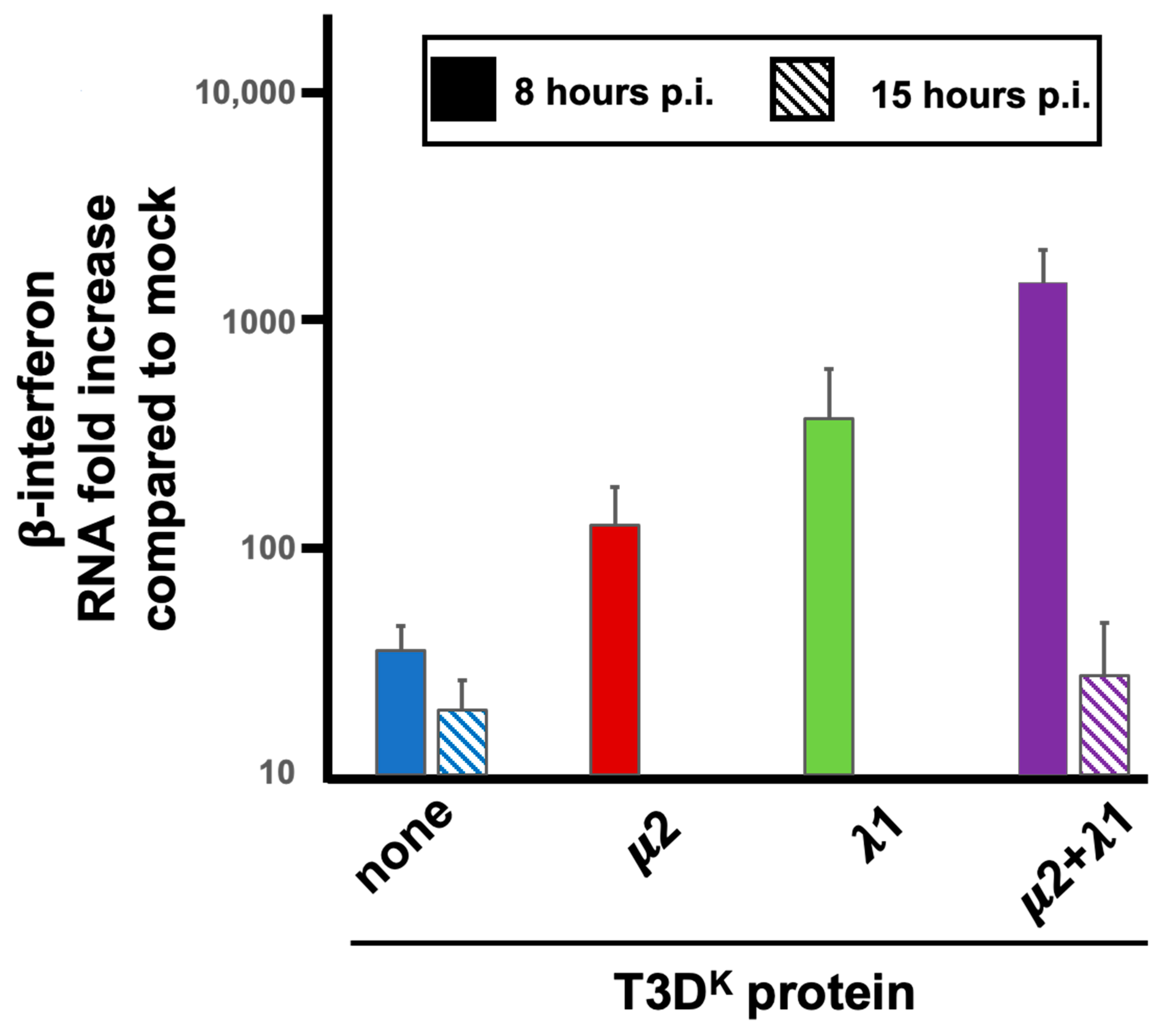 Viruses 14 02638 g009