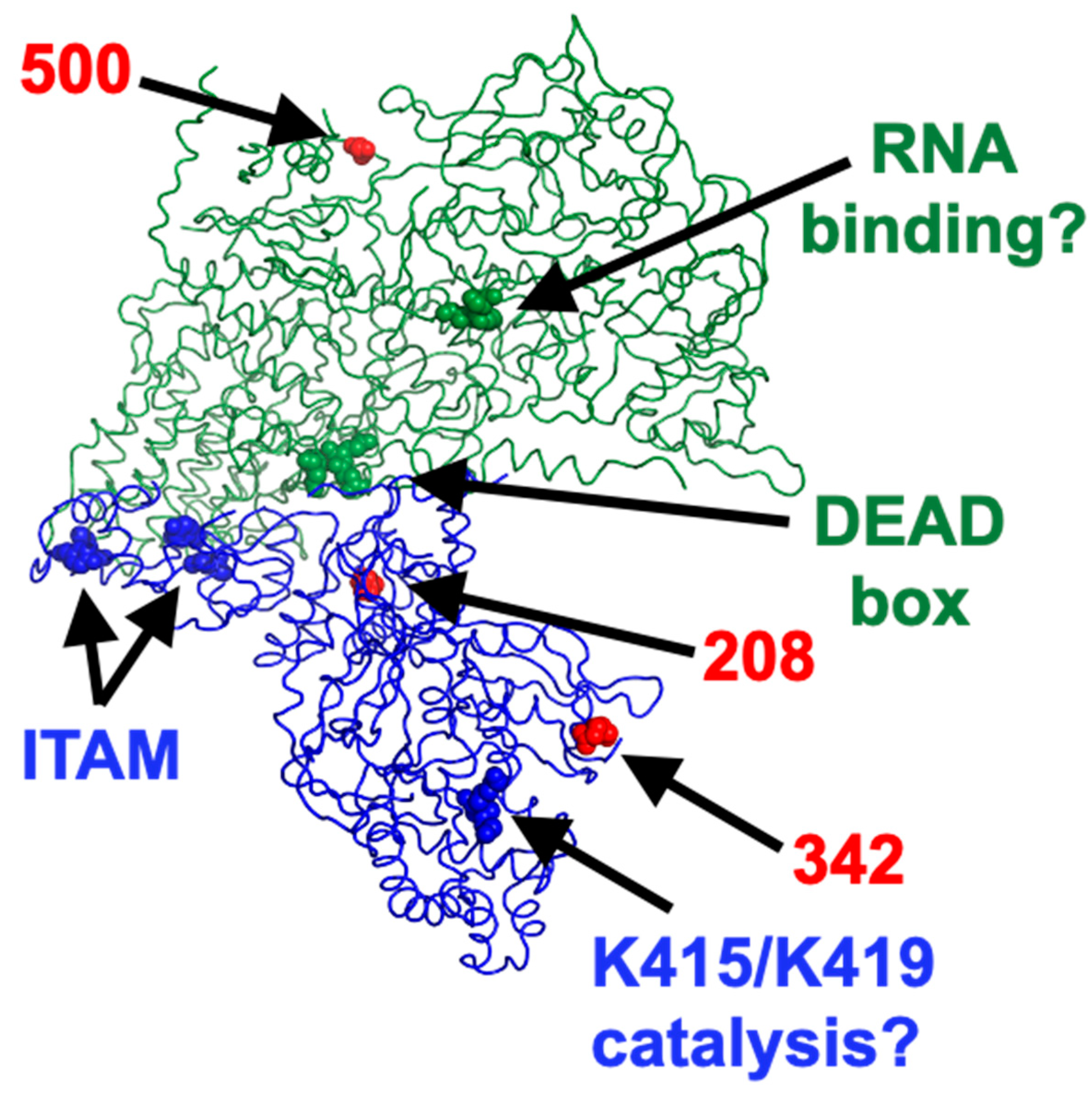 Viruses 14 02638 g010