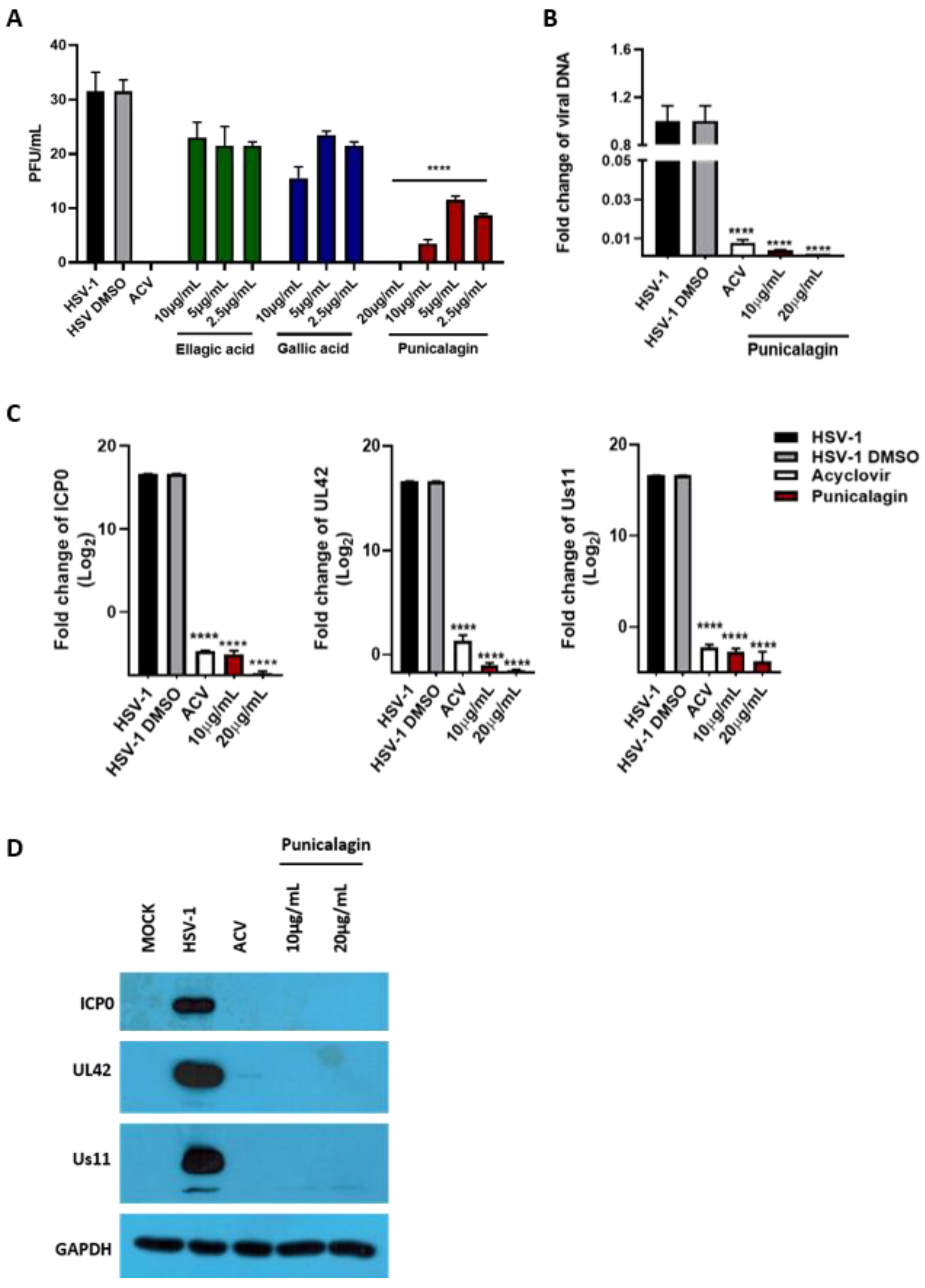 Viruses 14 02639 g009 Viruses 14 02639 g009