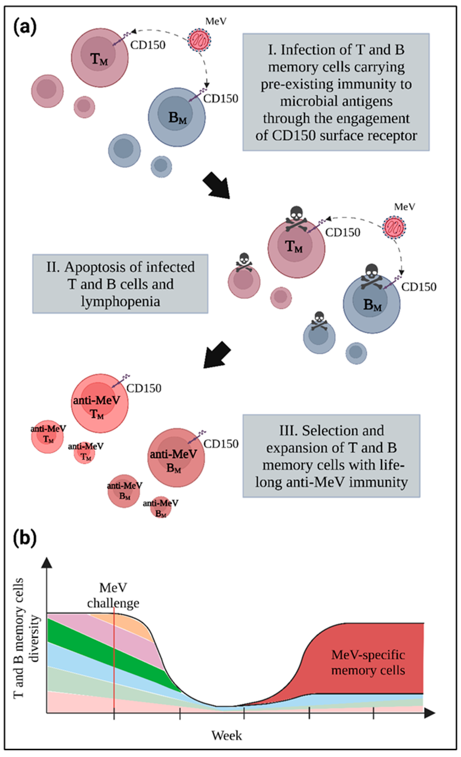 Viruses 14 02641 g006 Viruses 14 02641 g006