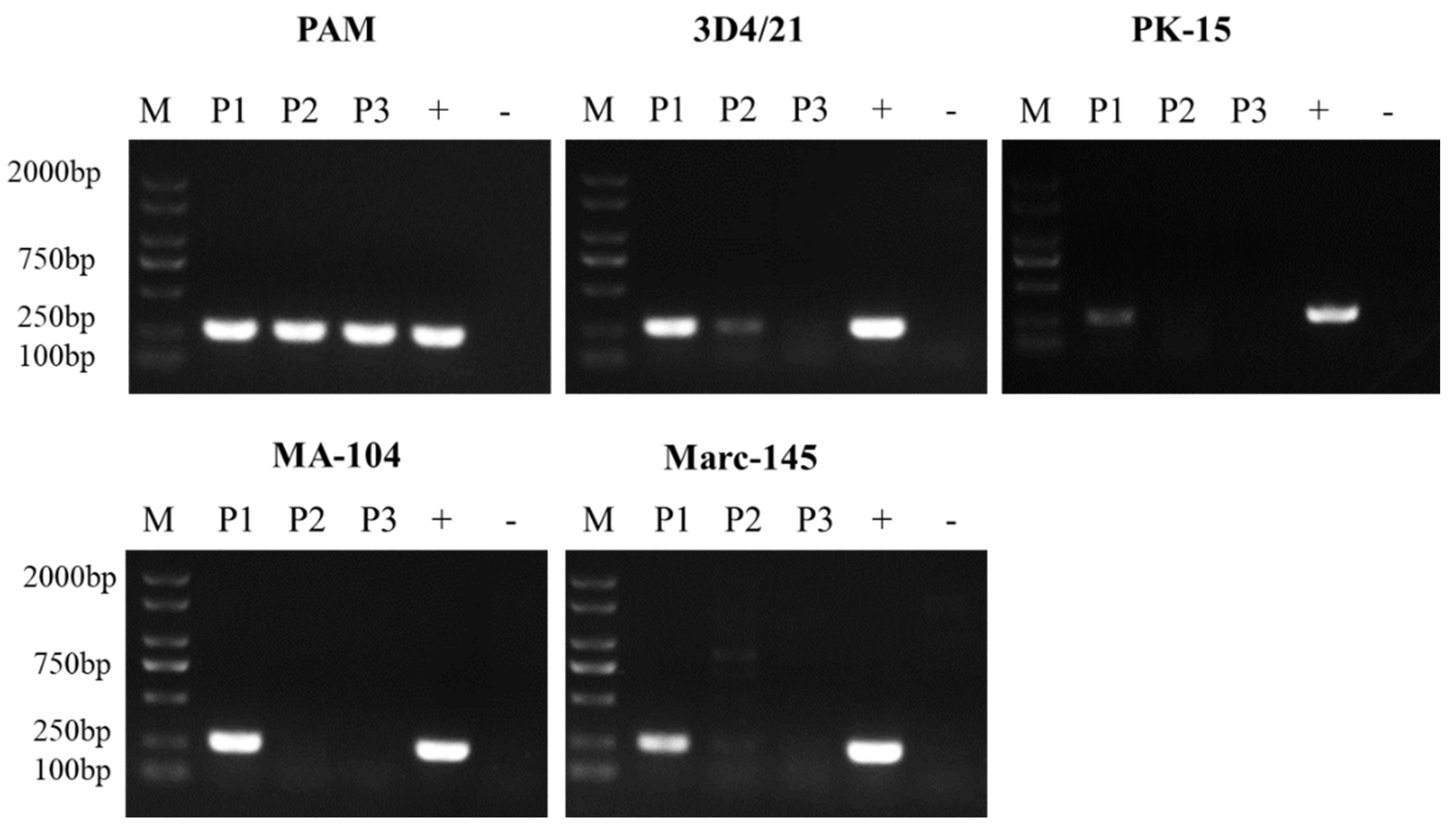 Viruses 14 02642 g001 Viruses 14 02642 g001