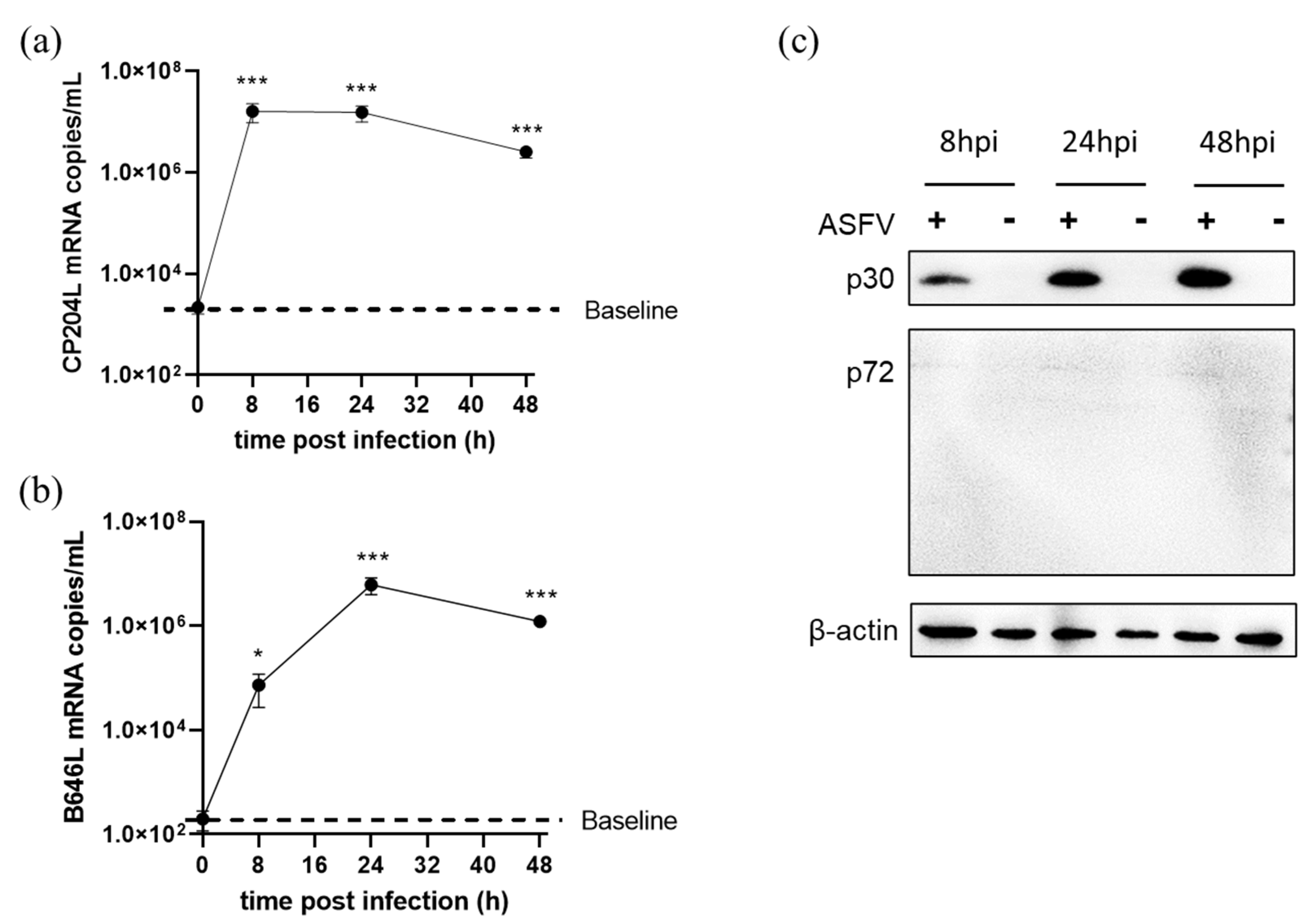 Viruses 14 02642 g006 Viruses 14 02642 g006
