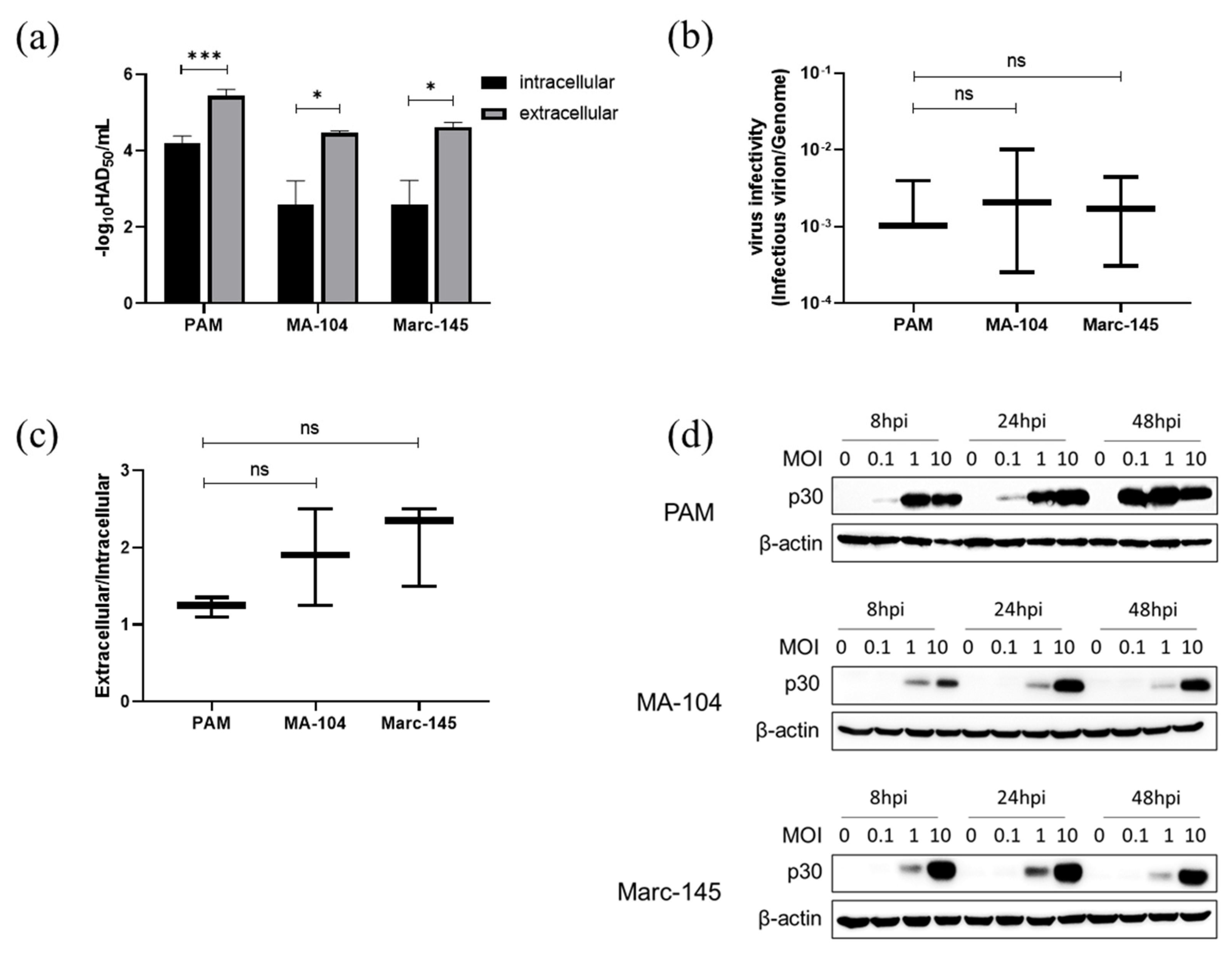 Viruses 14 02642 g007 Viruses 14 02642 g007