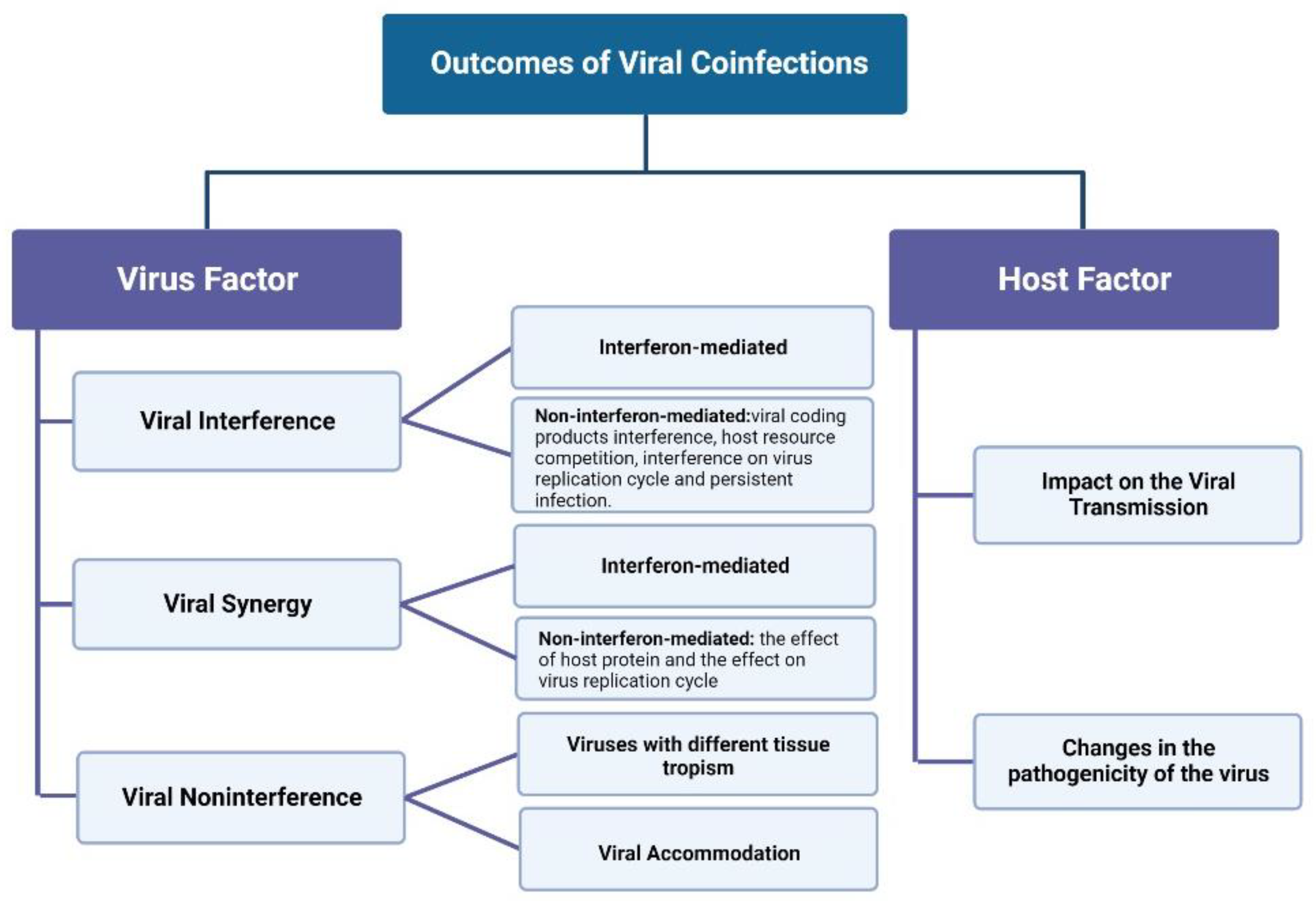 Stein Viral Coinfections