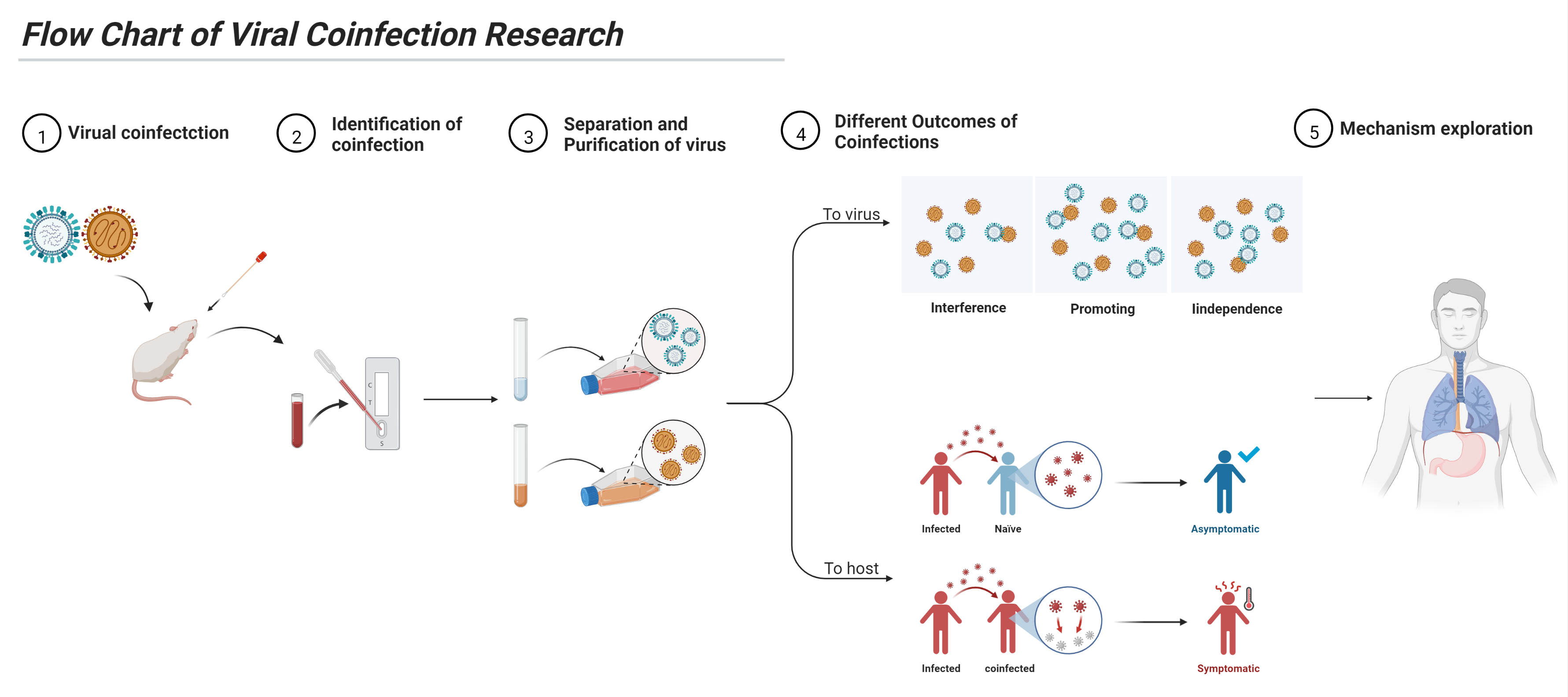 特別セーフ Viral Coinfections 筆記具