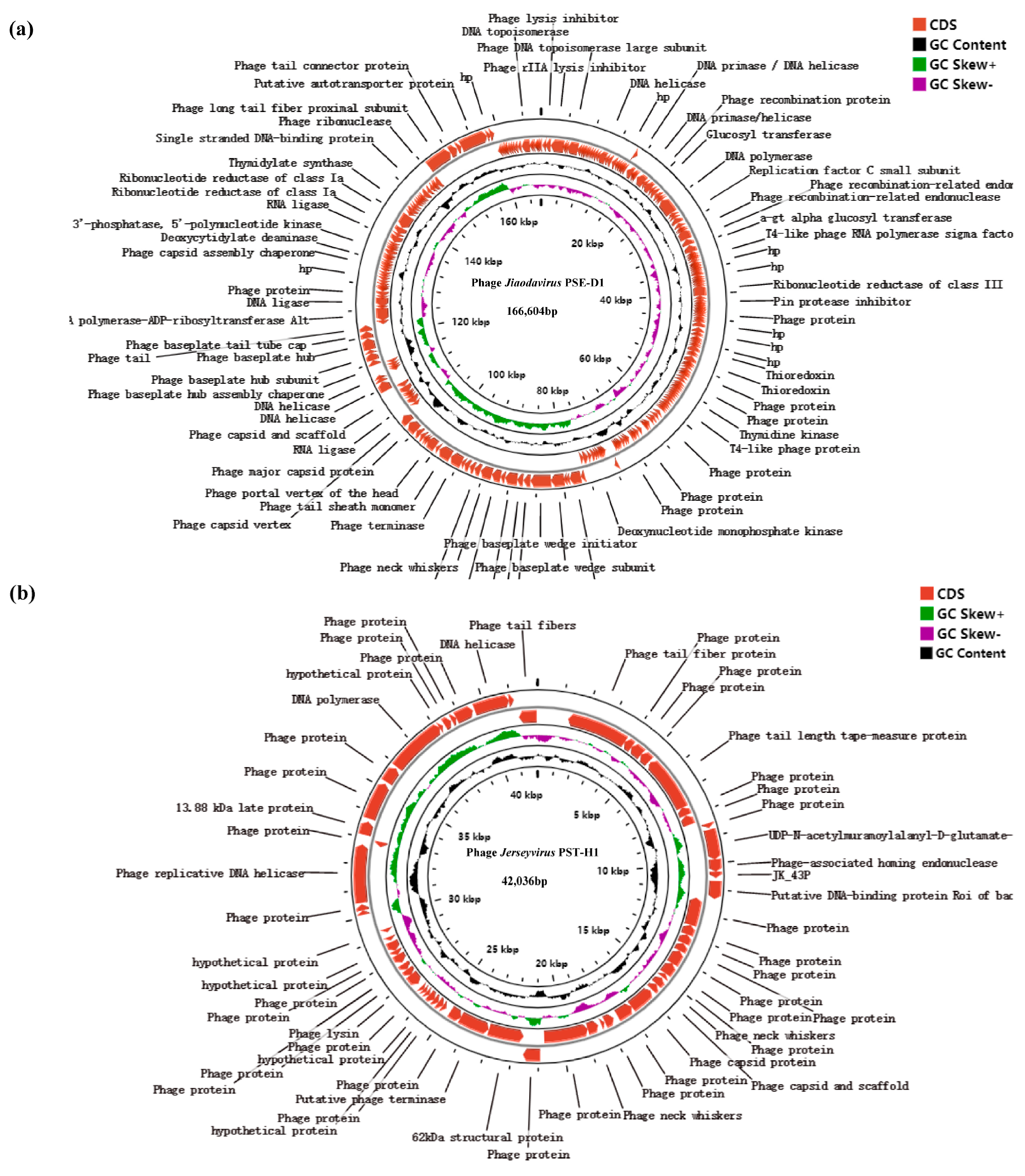 Viruses 14 02647 g006 Viruses 14 02647 g006