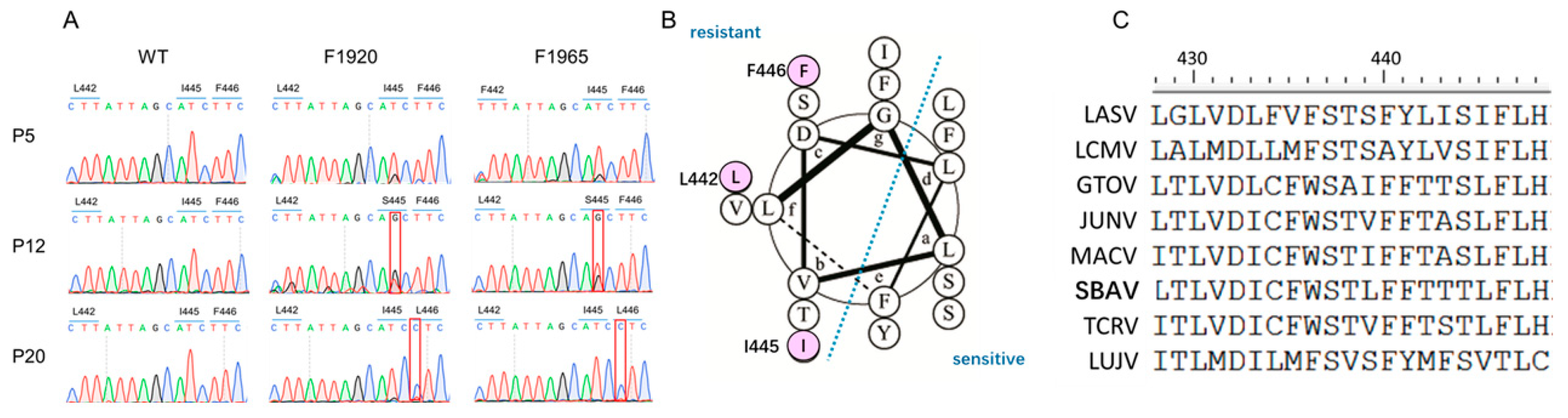 Viruses 14 02649 g003