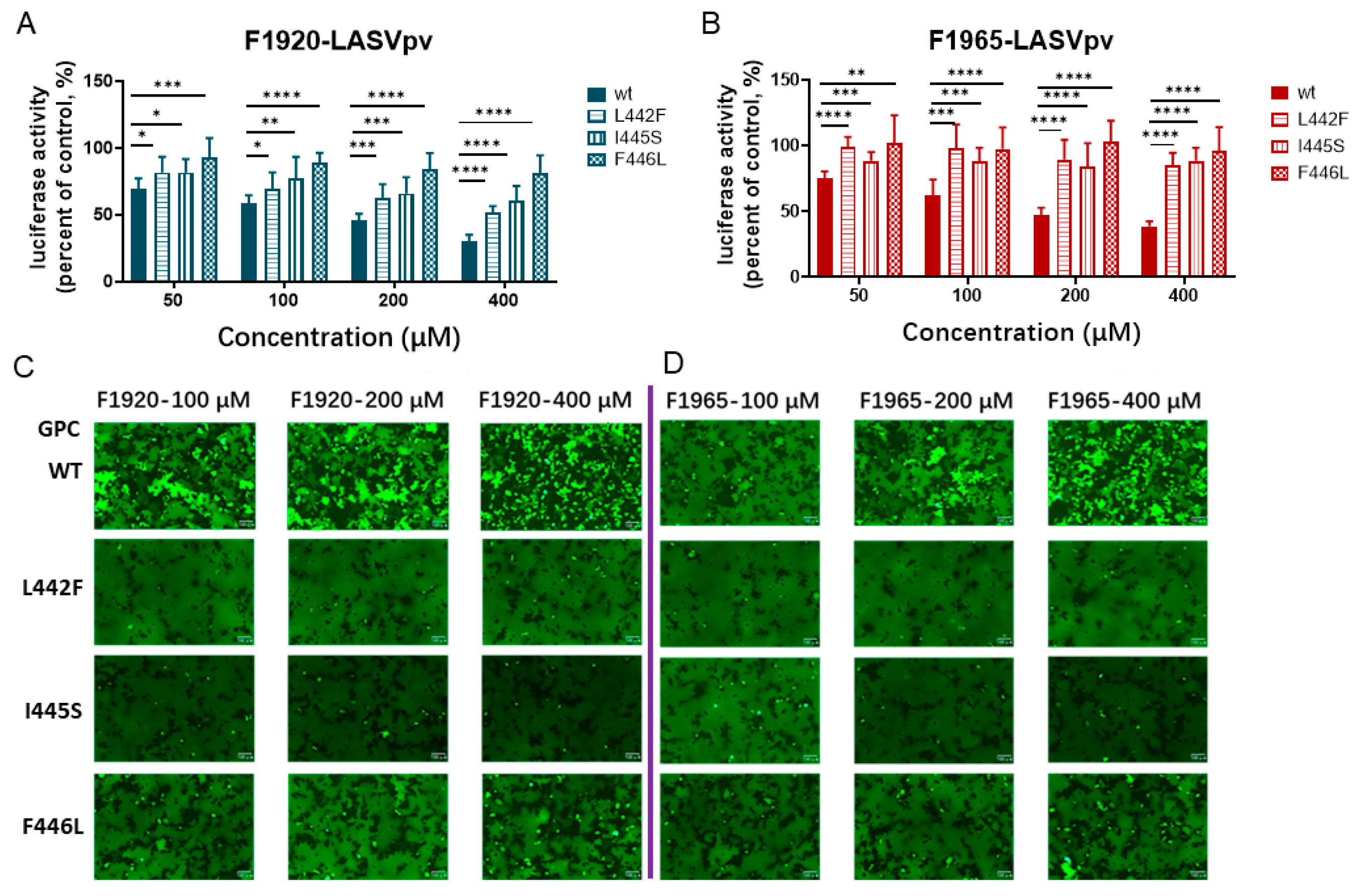 Viruses 14 02649 g004