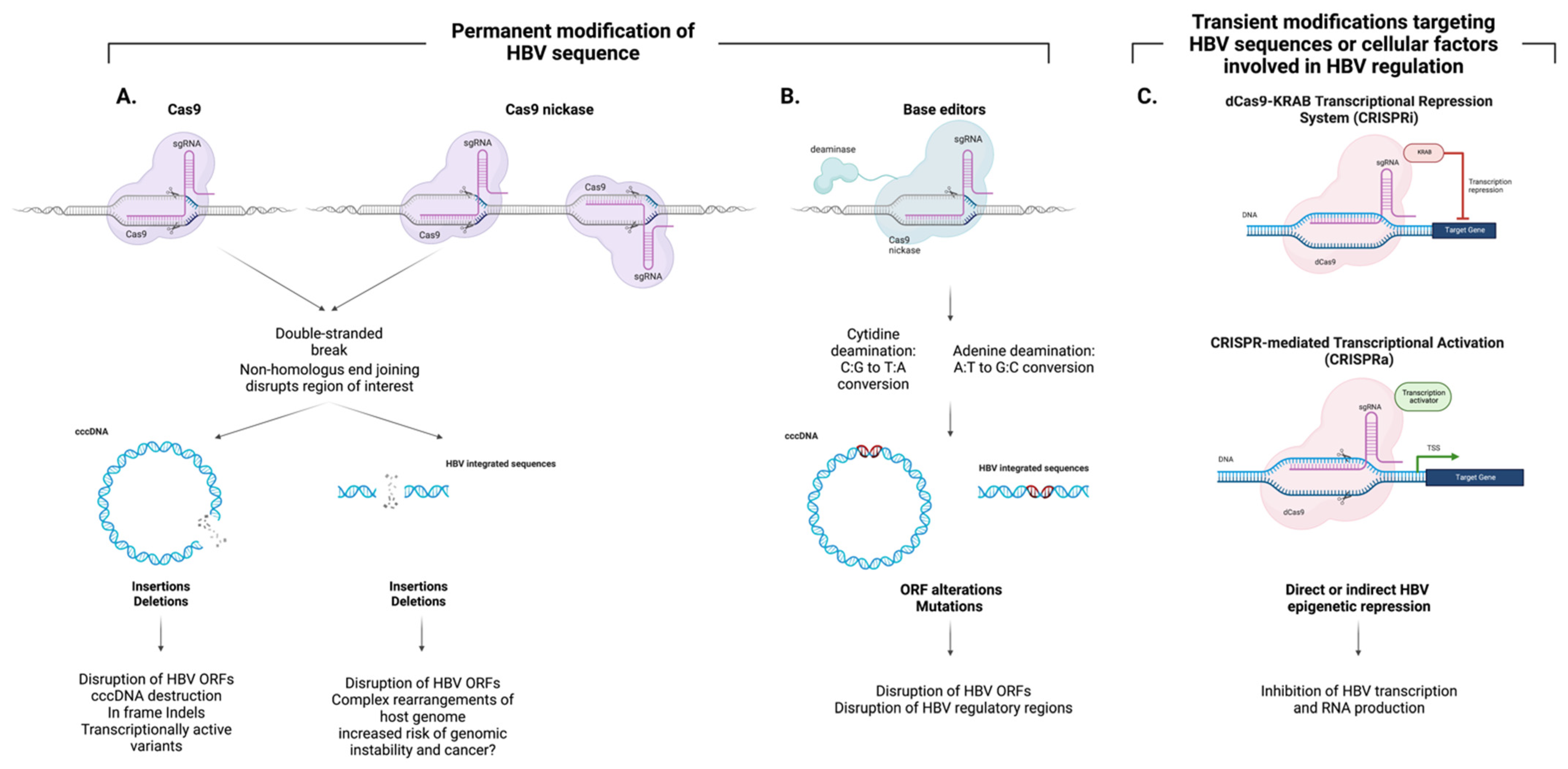 Viruses 14 02654 g002