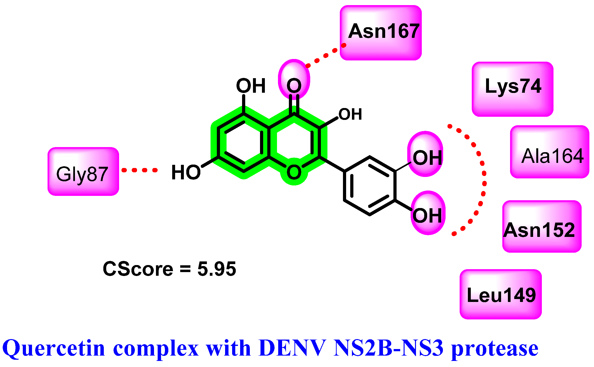 Viruses 14 02656 g006 Viruses 14 02656 g006