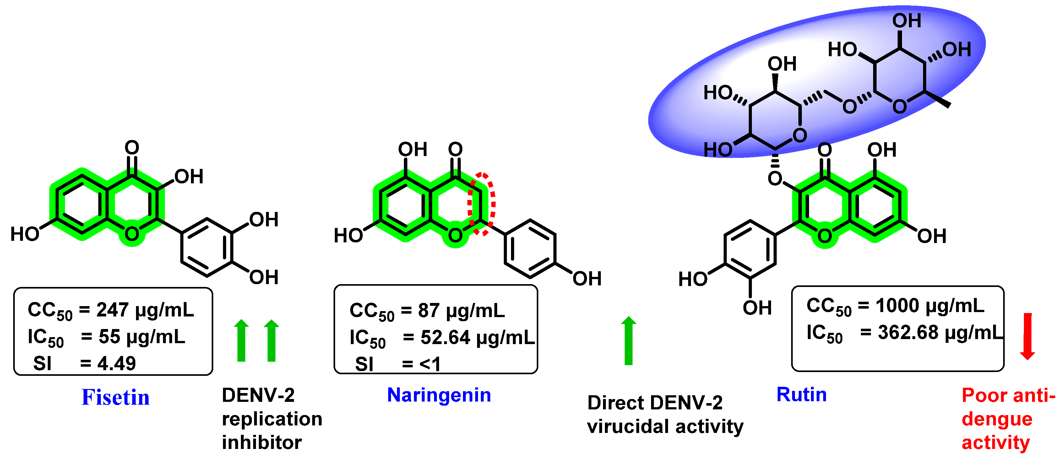 Viruses 14 02656 g010 Viruses 14 02656 g010