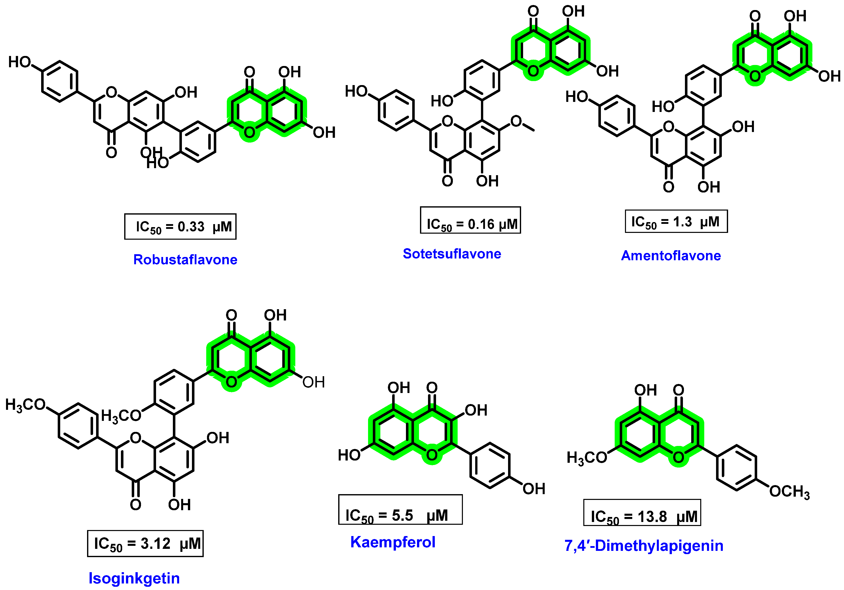 Viruses 14 02656 g011 Viruses 14 02656 g011