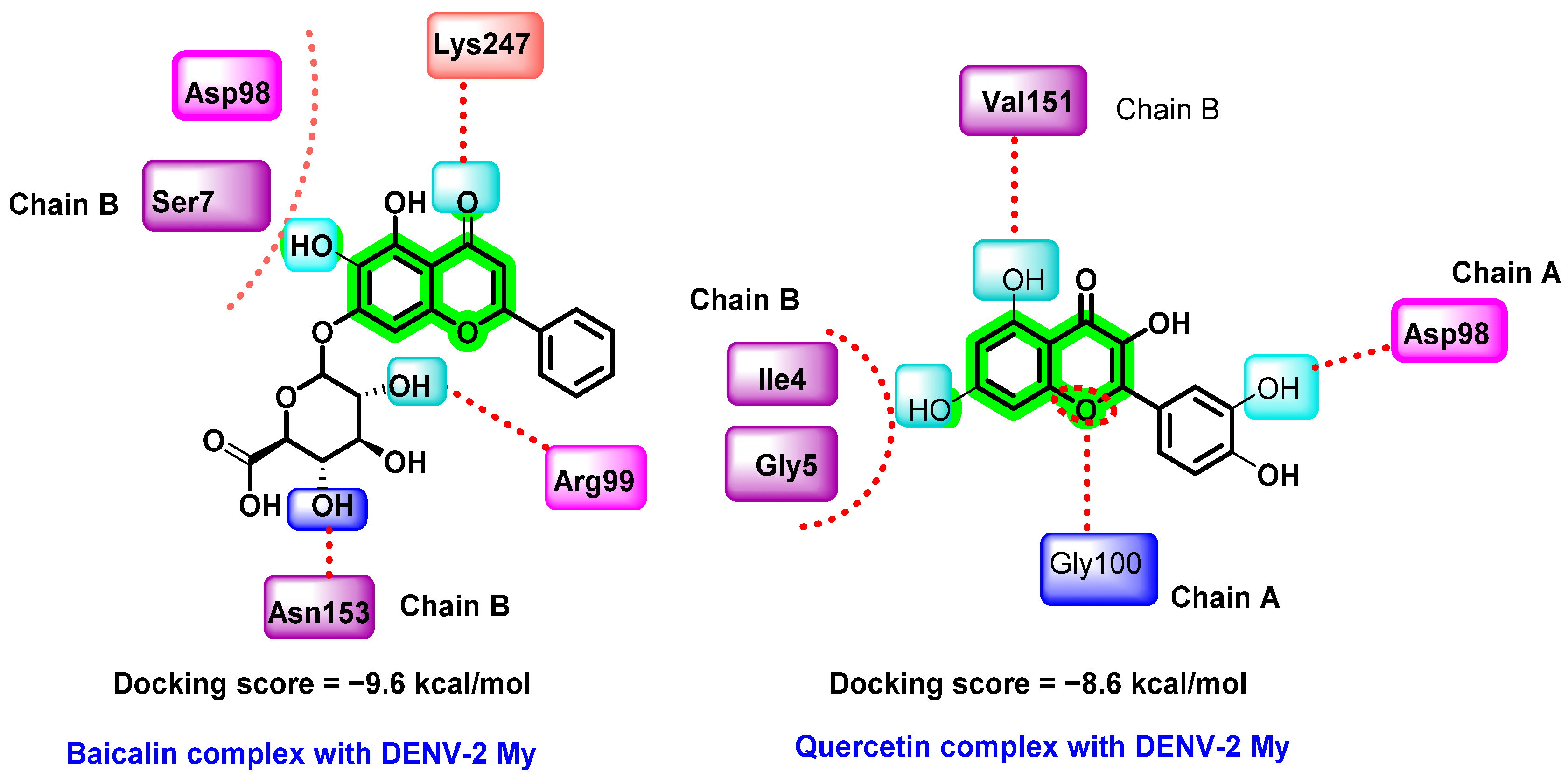Viruses 14 02656 g014 Viruses 14 02656 g014