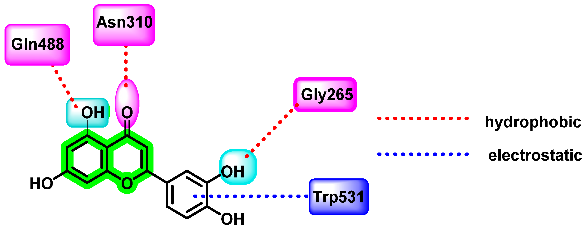 Viruses 14 02656 g016 Viruses 14 02656 g016