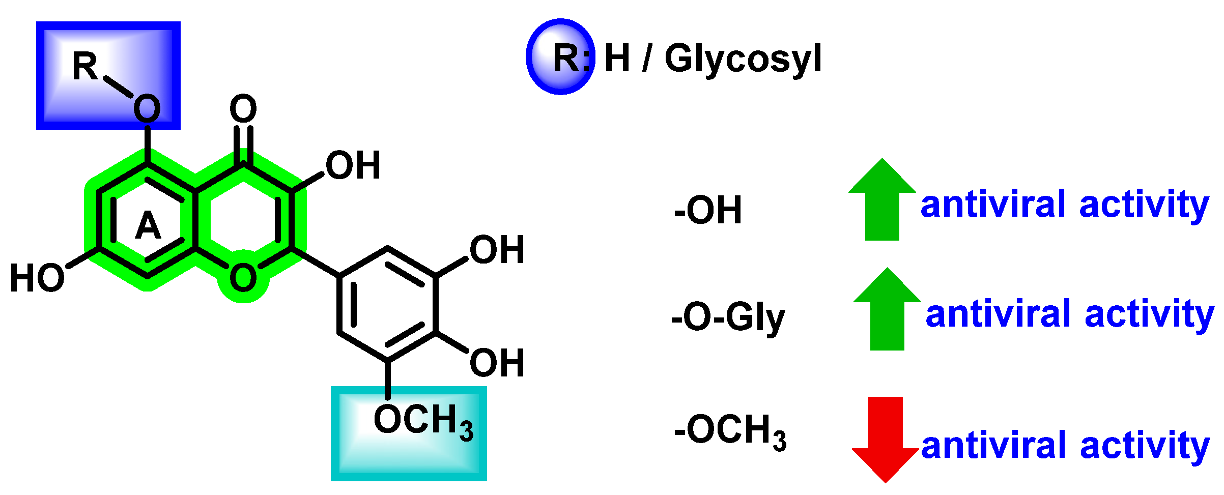 Viruses 14 02656 g017 Viruses 14 02656 g017