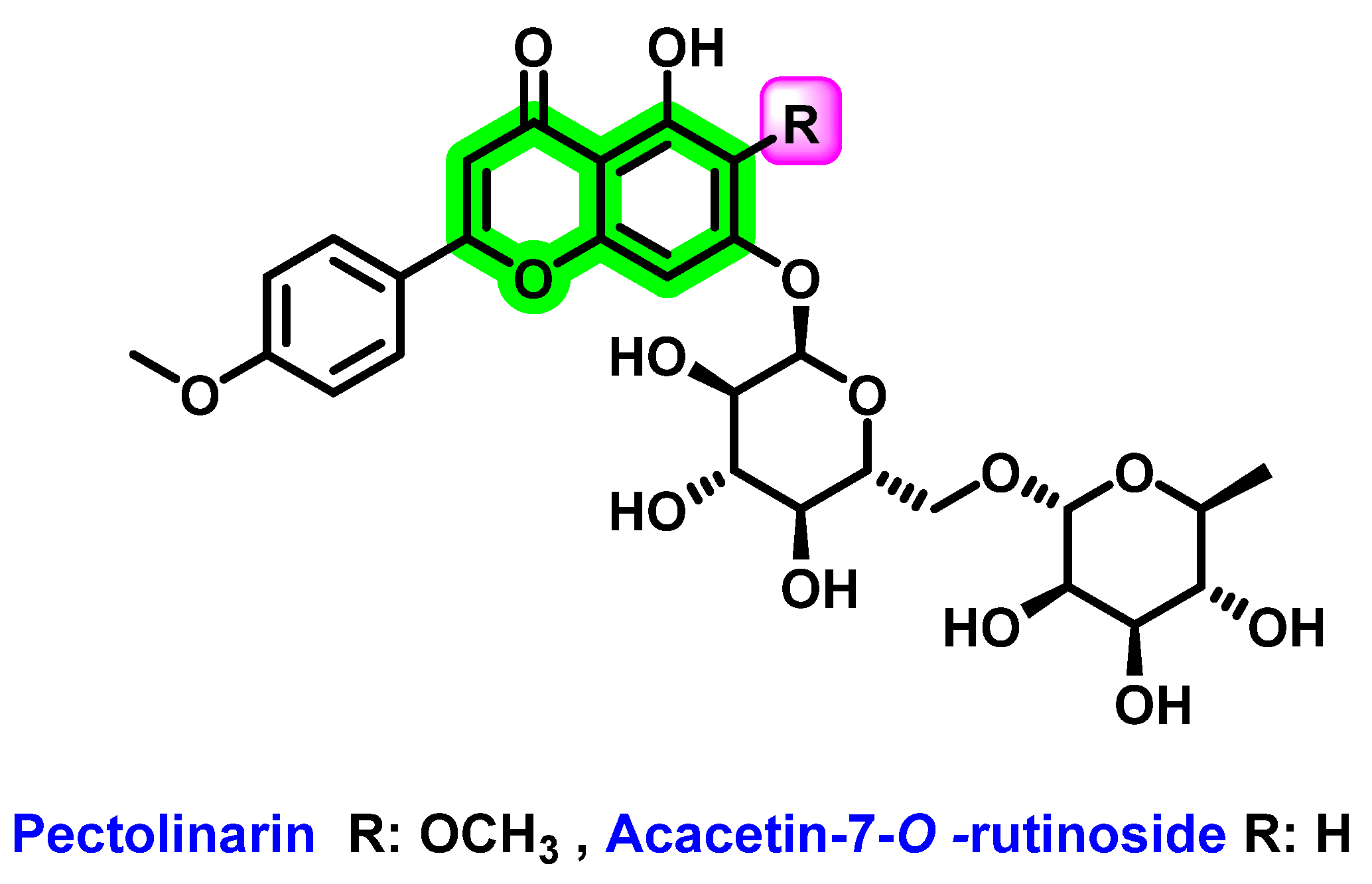 Viruses 14 02656 g019 Viruses 14 02656 g019