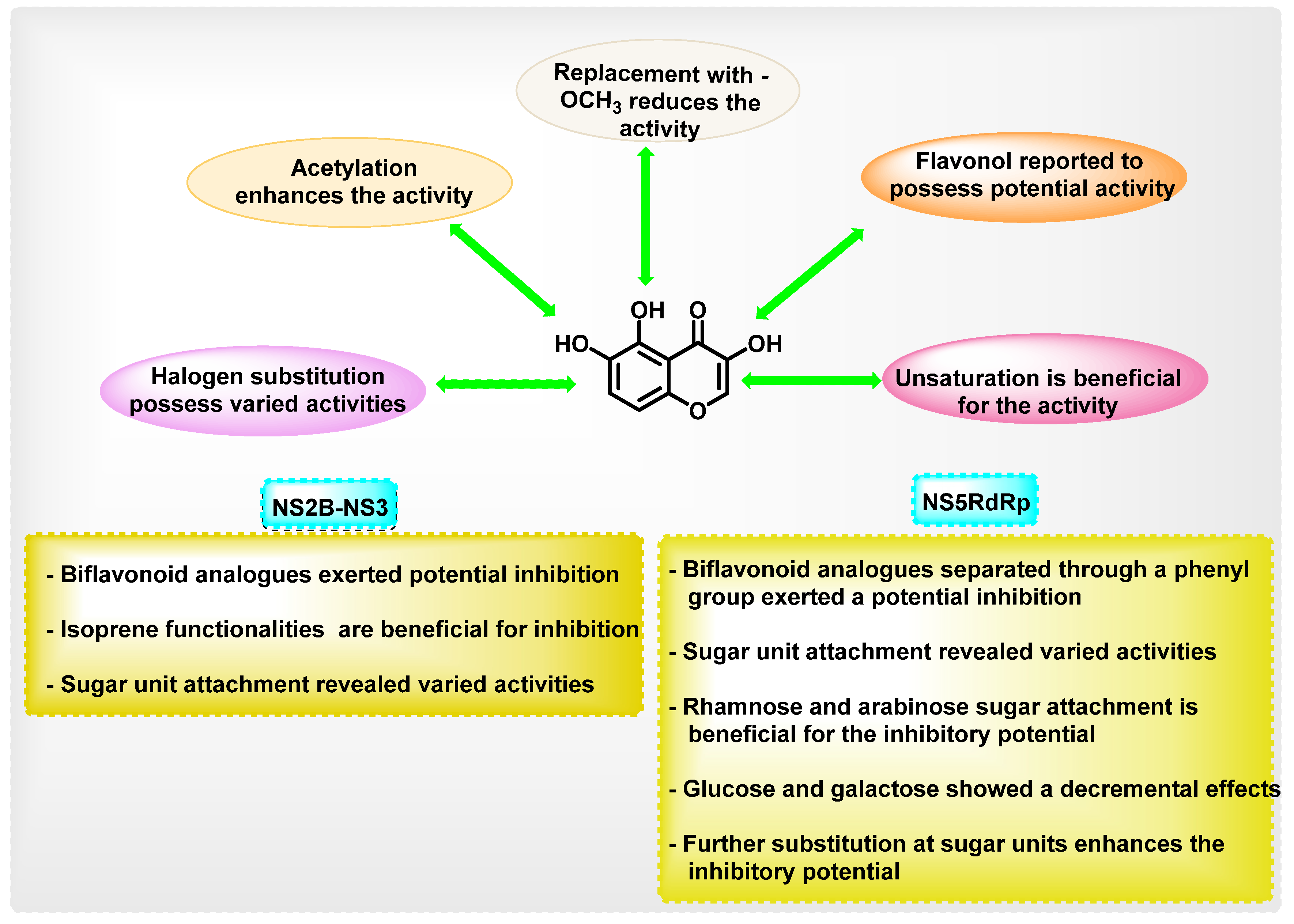 Viruses 14 02656 g021 Viruses 14 02656 g021