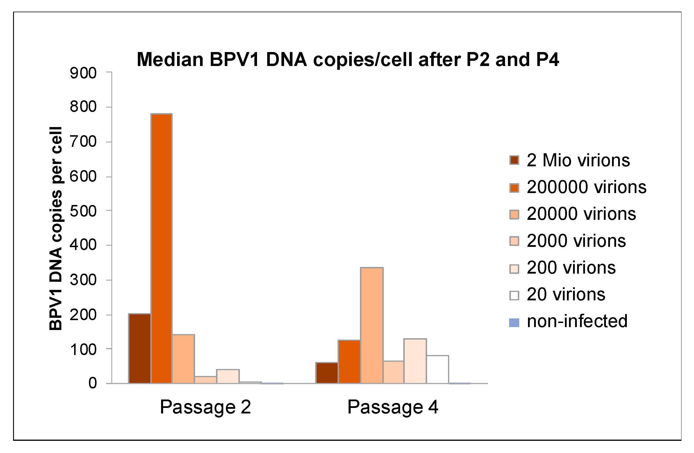 Viruses 14 02658 g003 Viruses 14 02658 g003