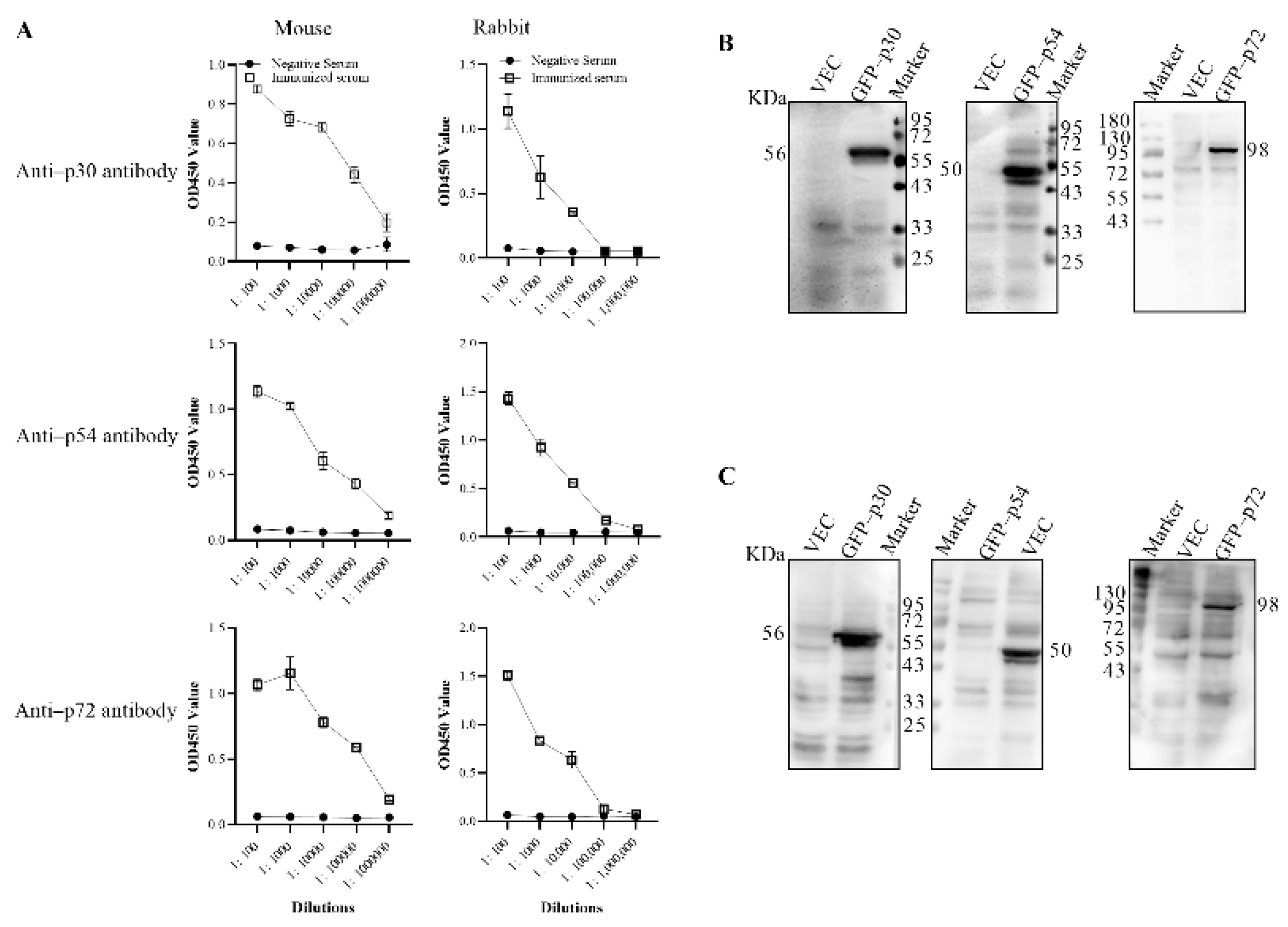 Viruses 14 02660 g003 Viruses 14 02660 g003