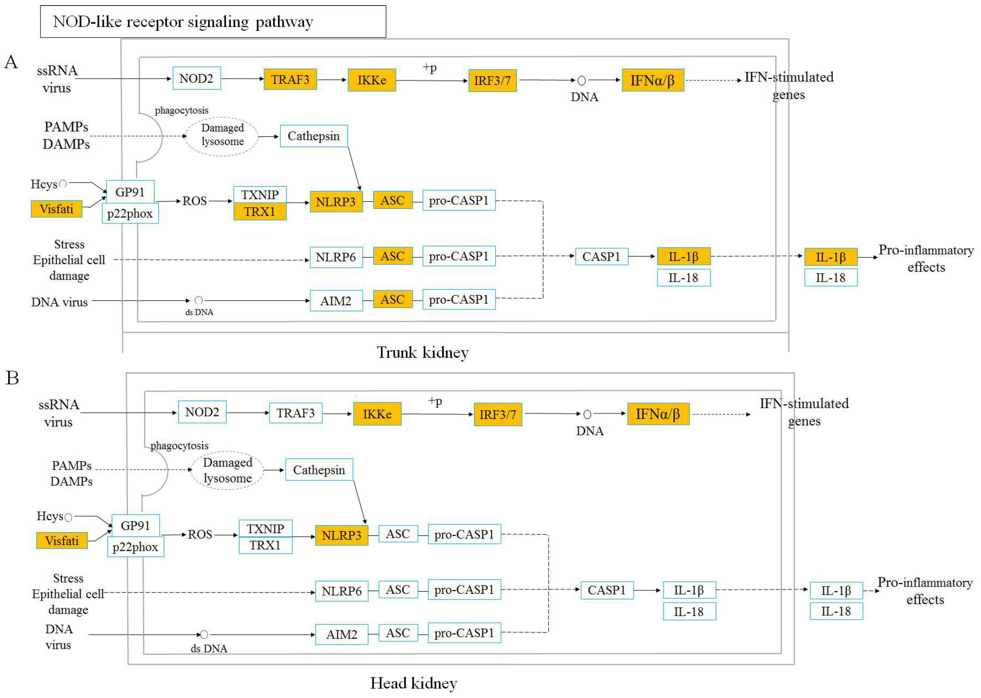 Viruses 14 02663 g006 Viruses 14 02663 g006