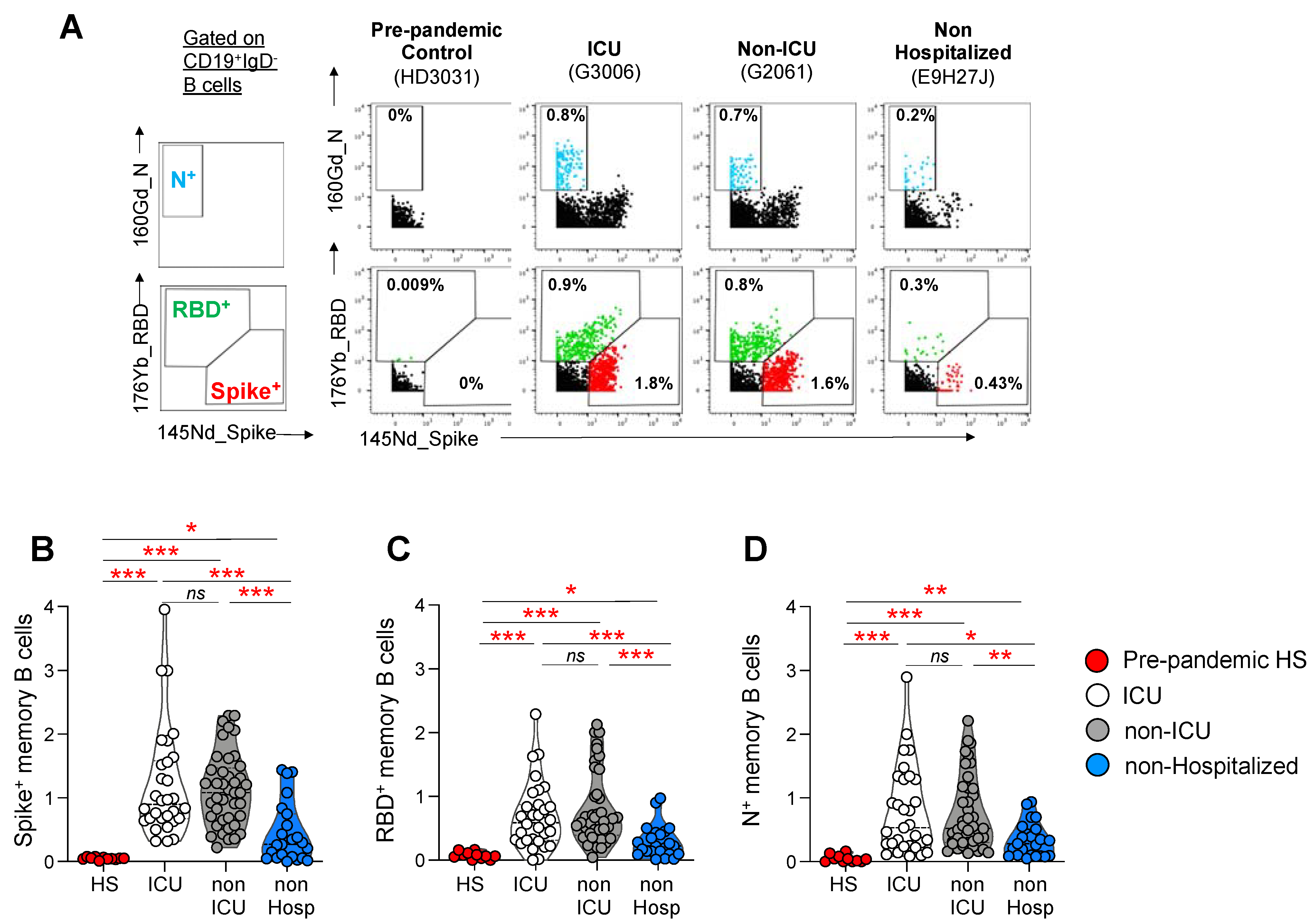 Viruses 14 02665 g002