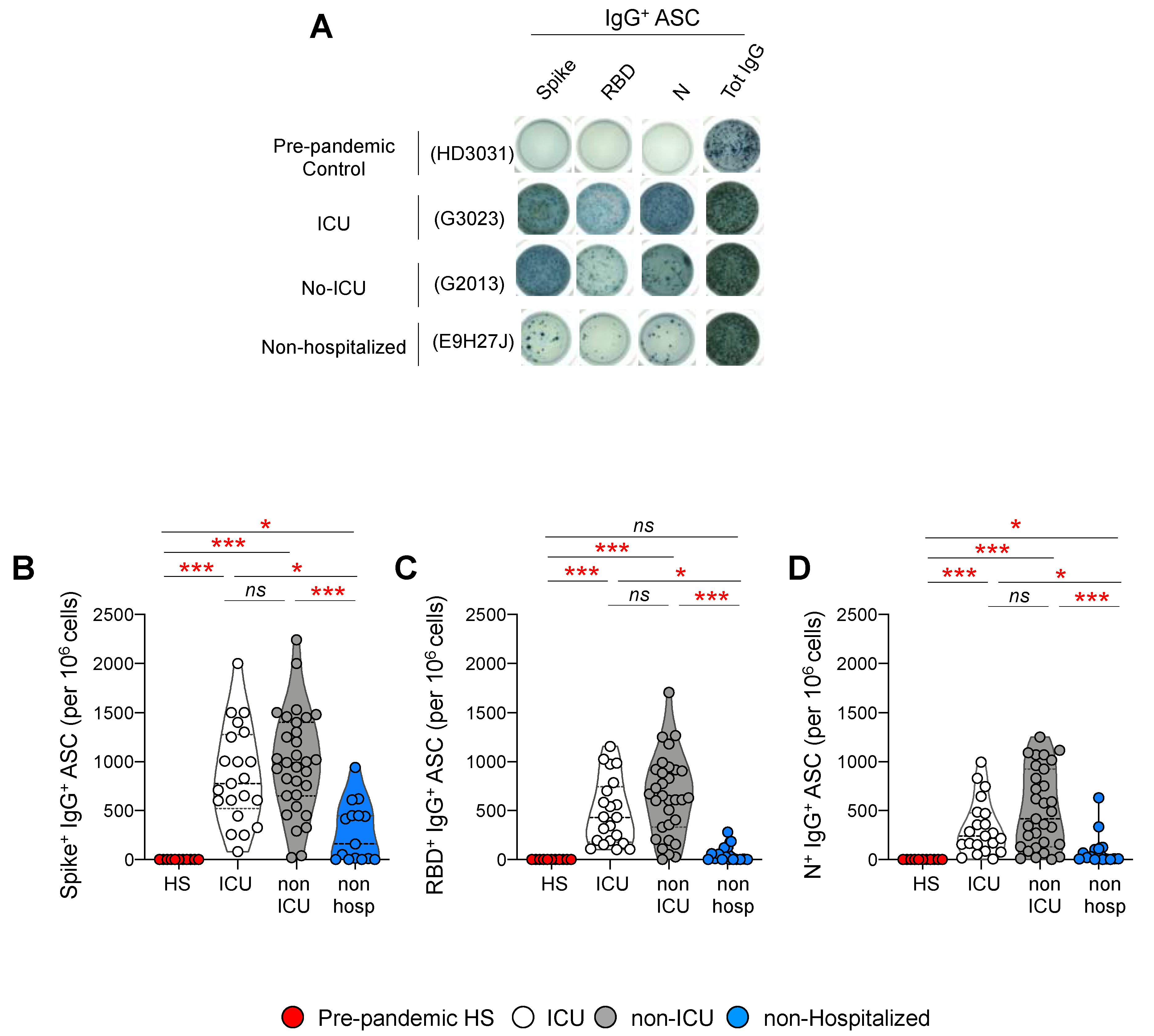 Viruses 14 02665 g004