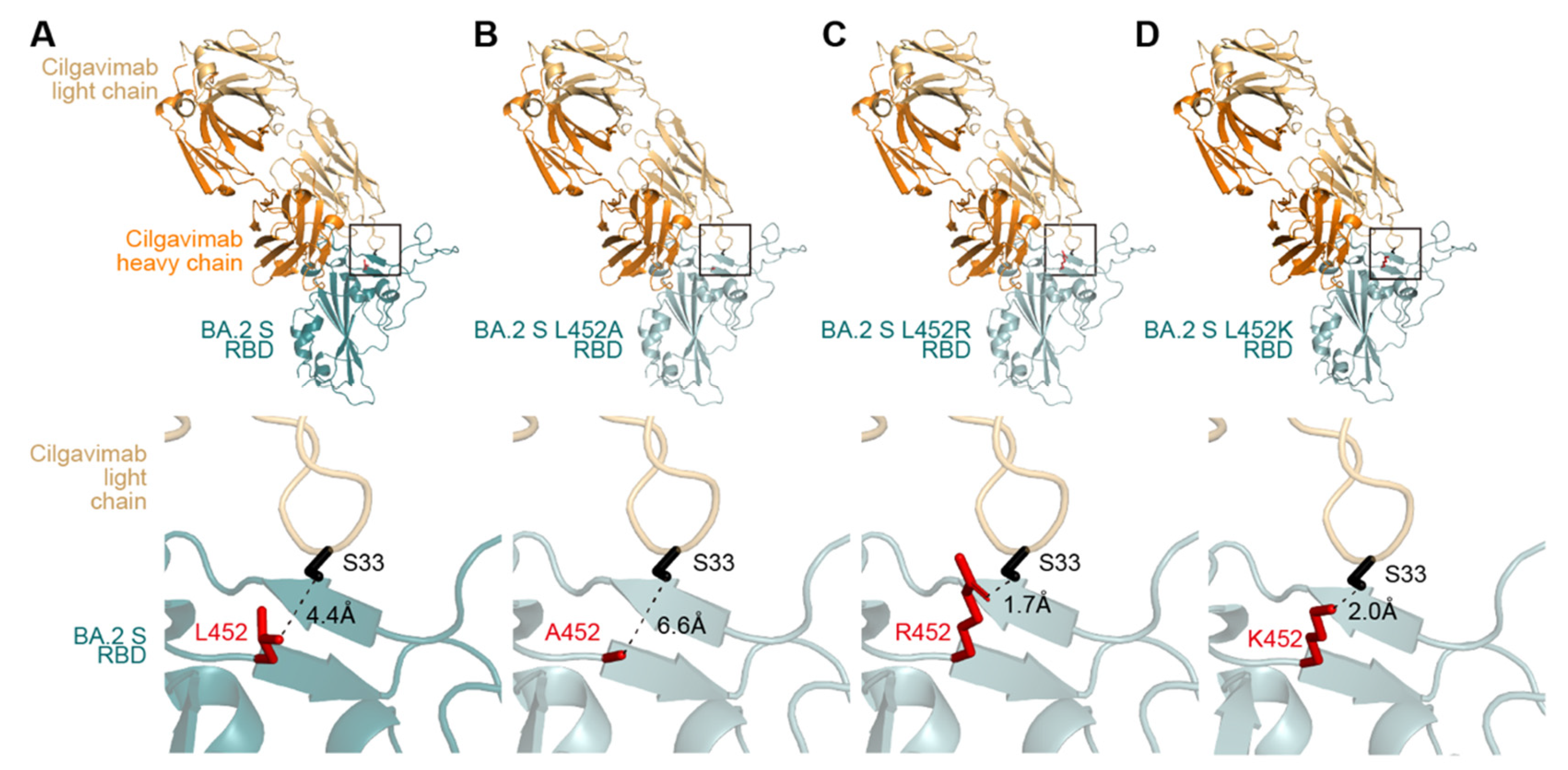 Viruses 14 02677 g001 Viruses 14 02677 g001